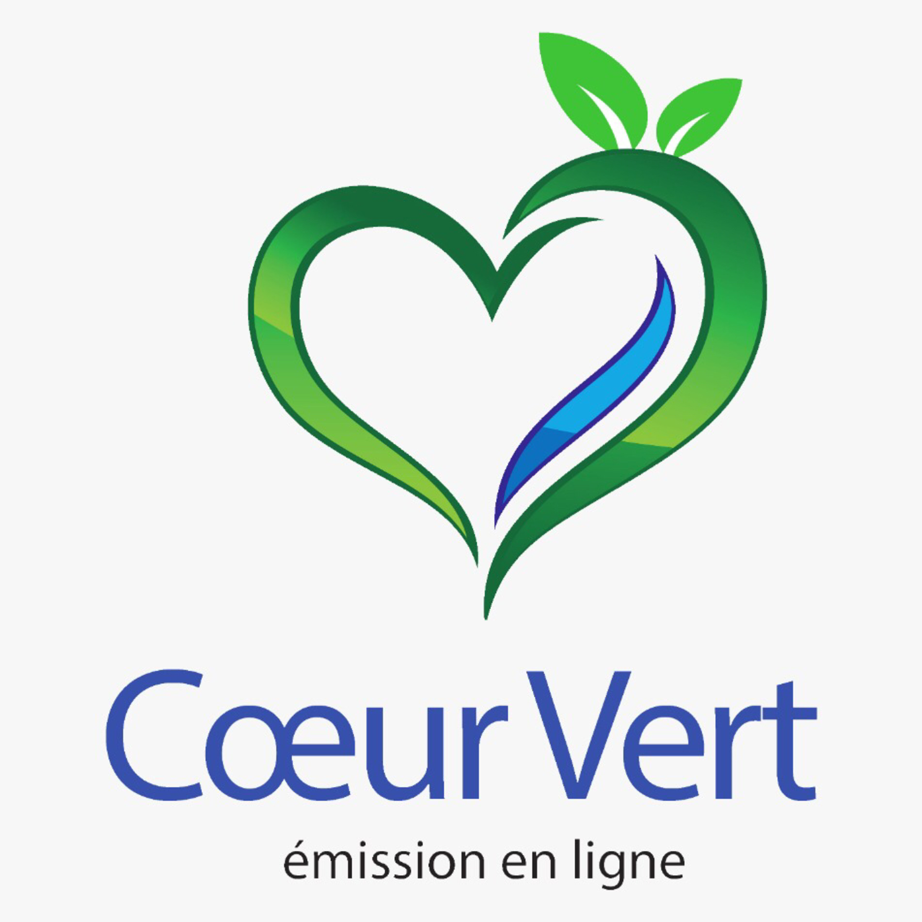 Ep. 3 Coeur Vert : la pollution plastique  episode artwork