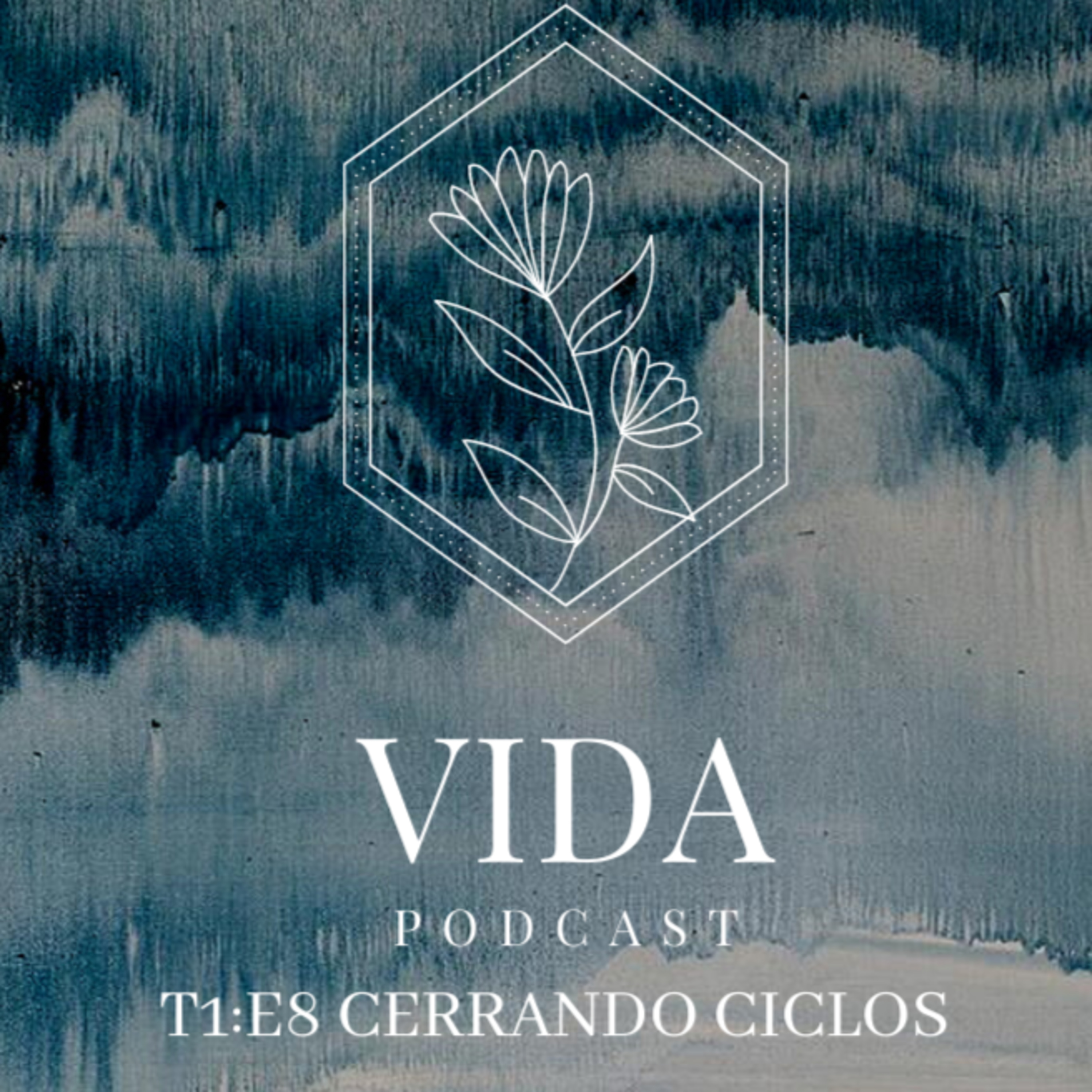 Vida