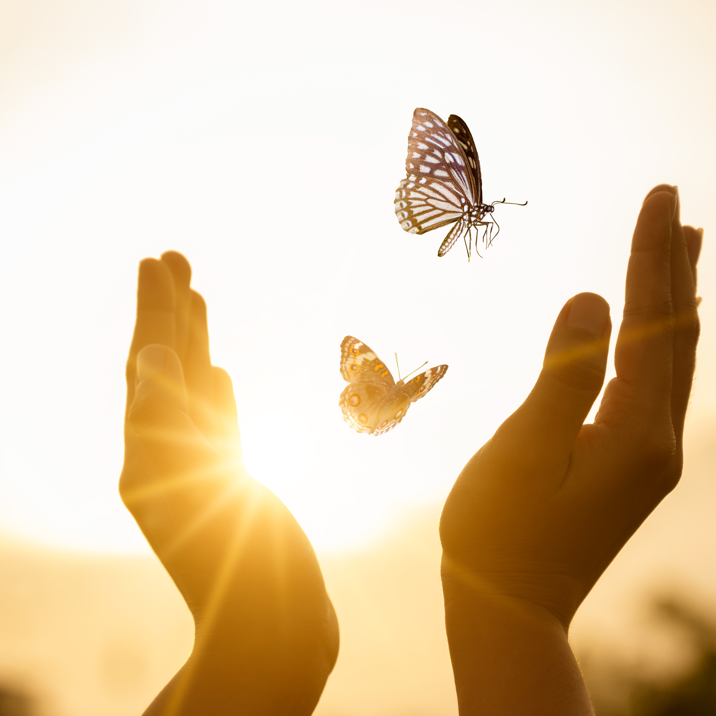 Grace Healing - Seeking God First