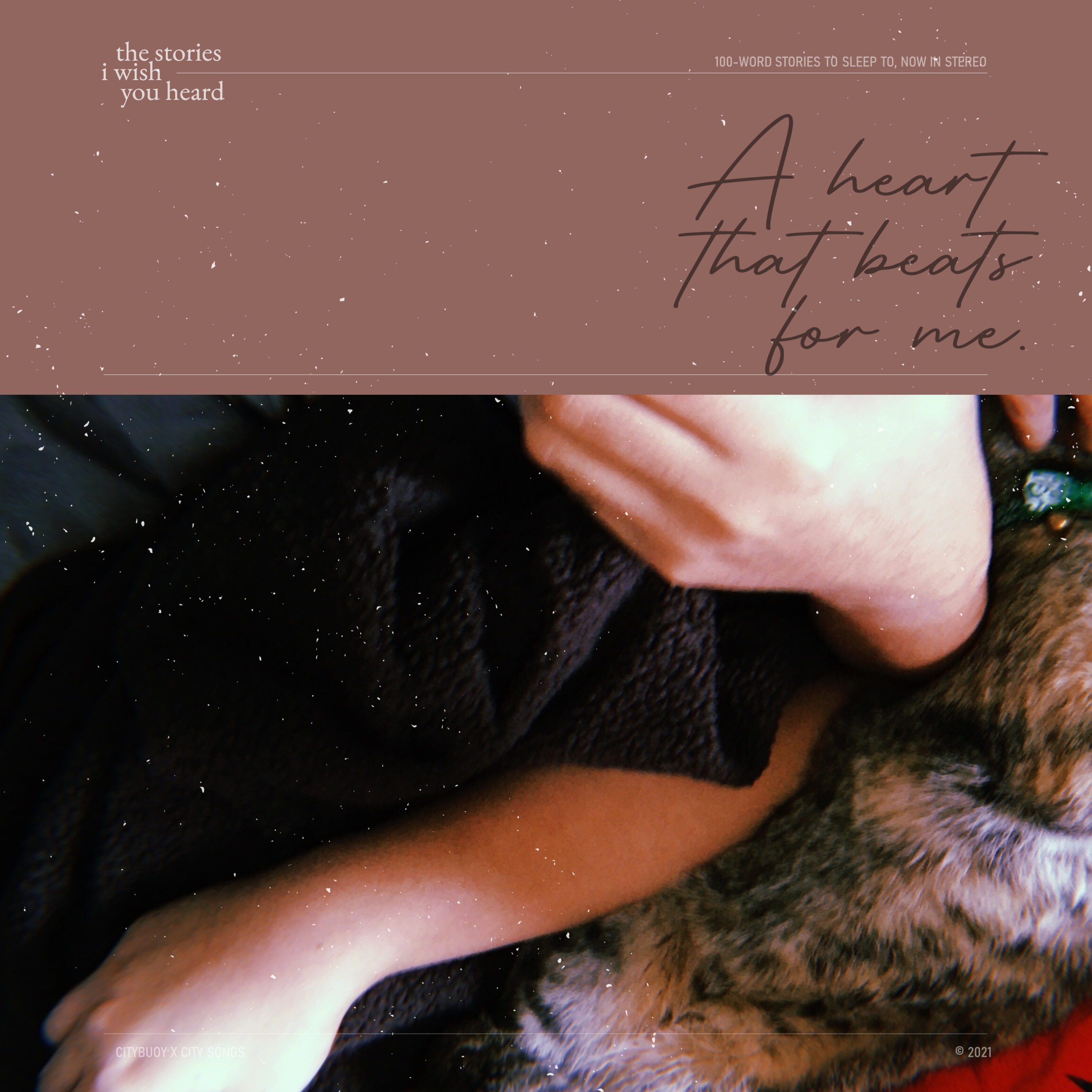 the stories i wish you heard