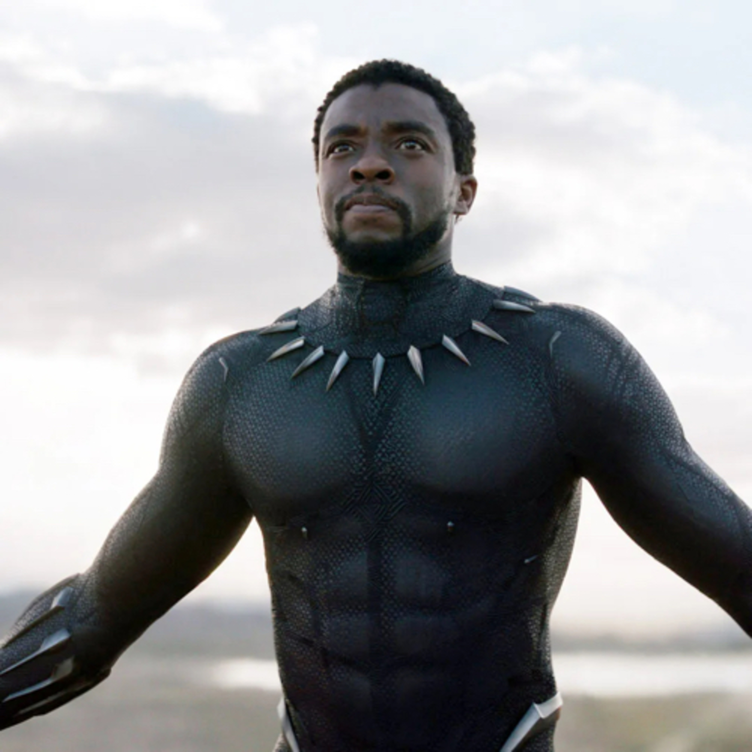 Black Panther episode artwork