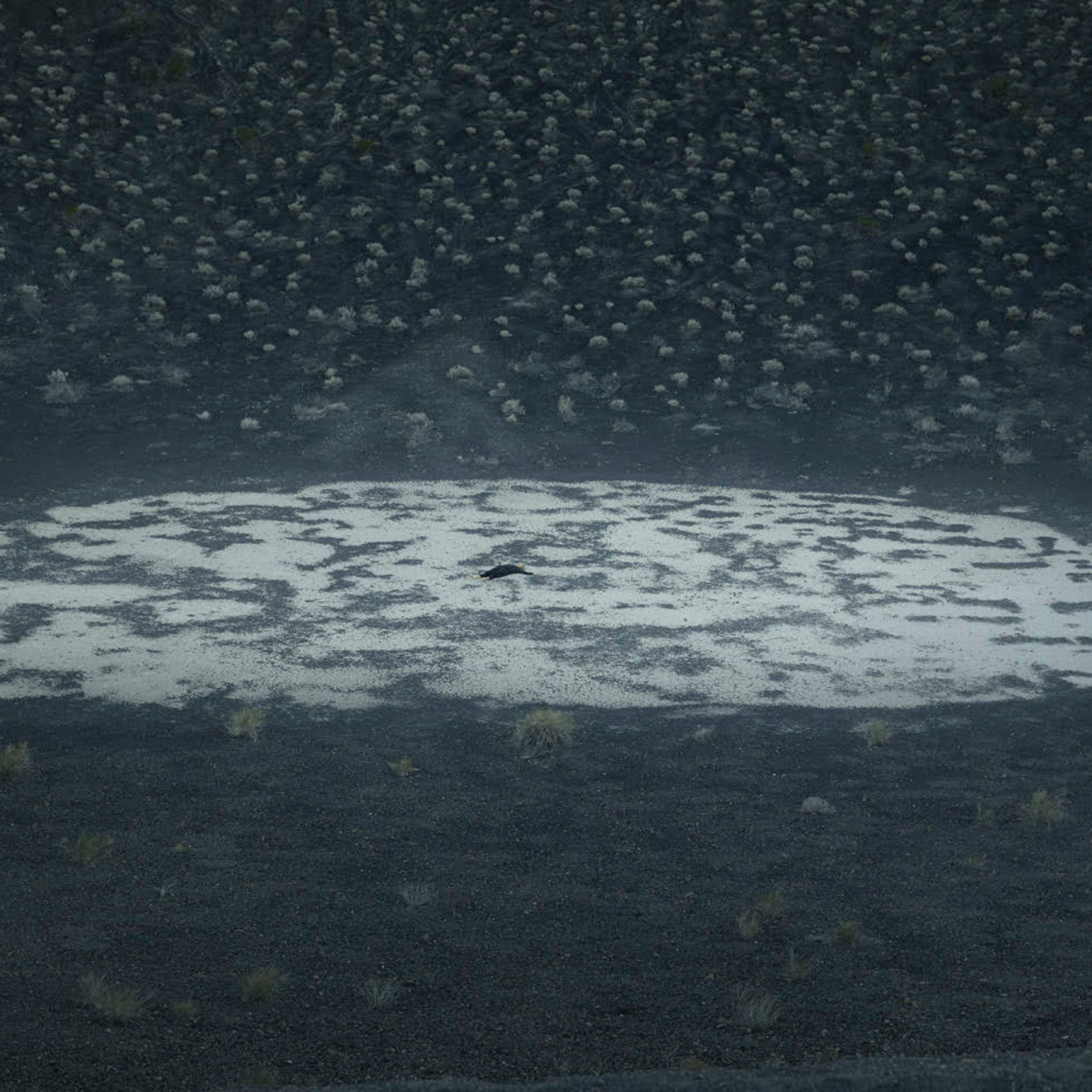 Hringur episode artwork