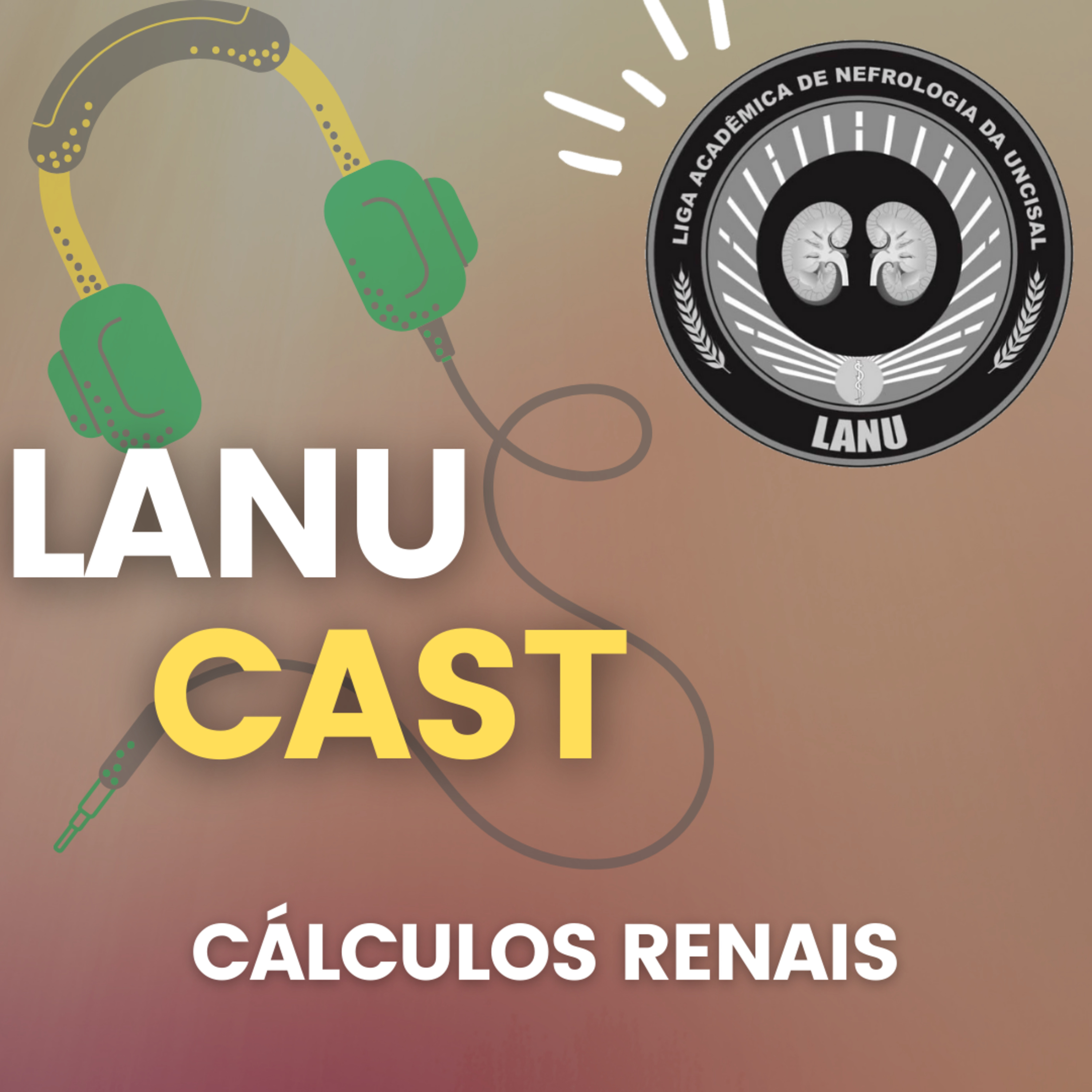 Cálculos Renais