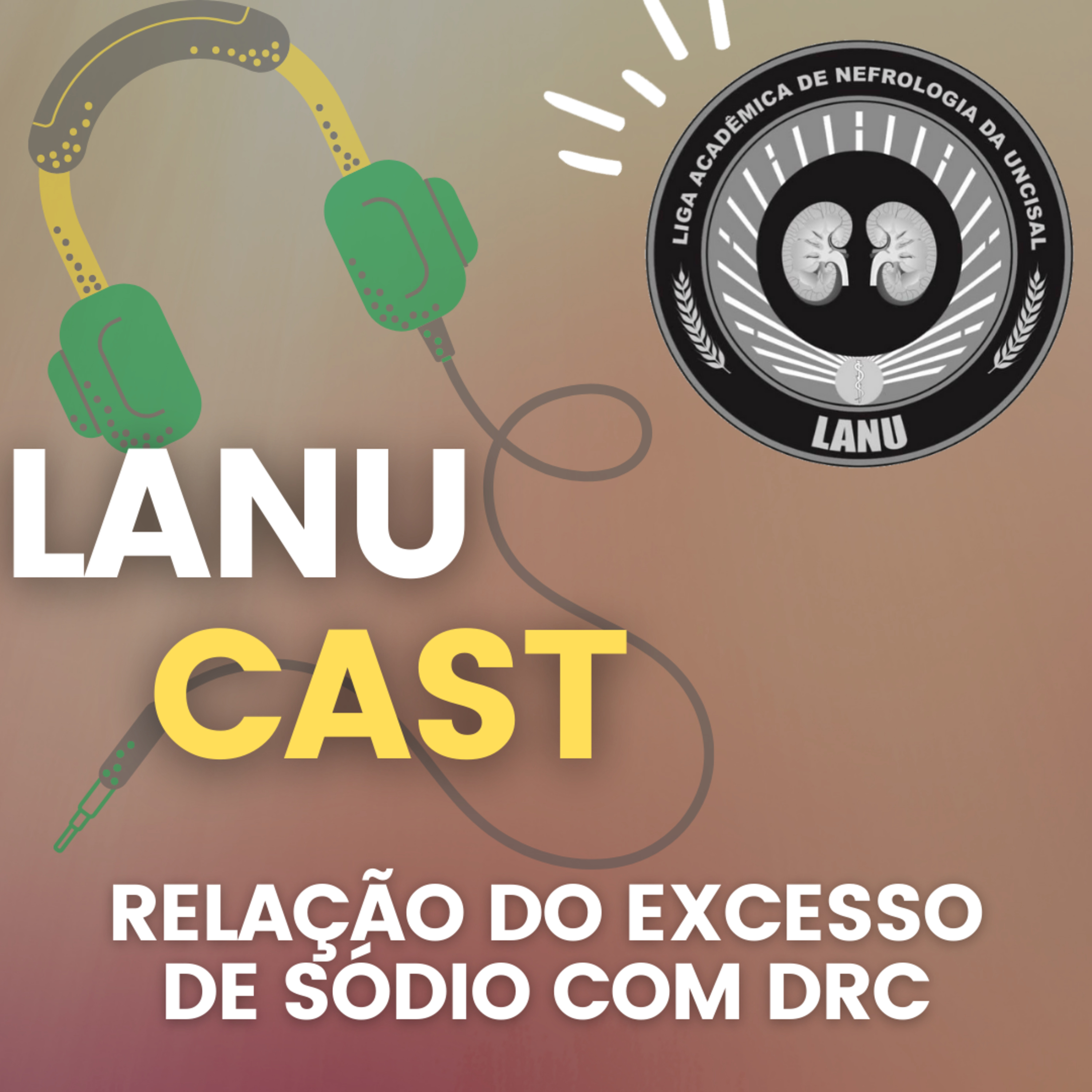 Relação do Excesso de Sódio com DRC