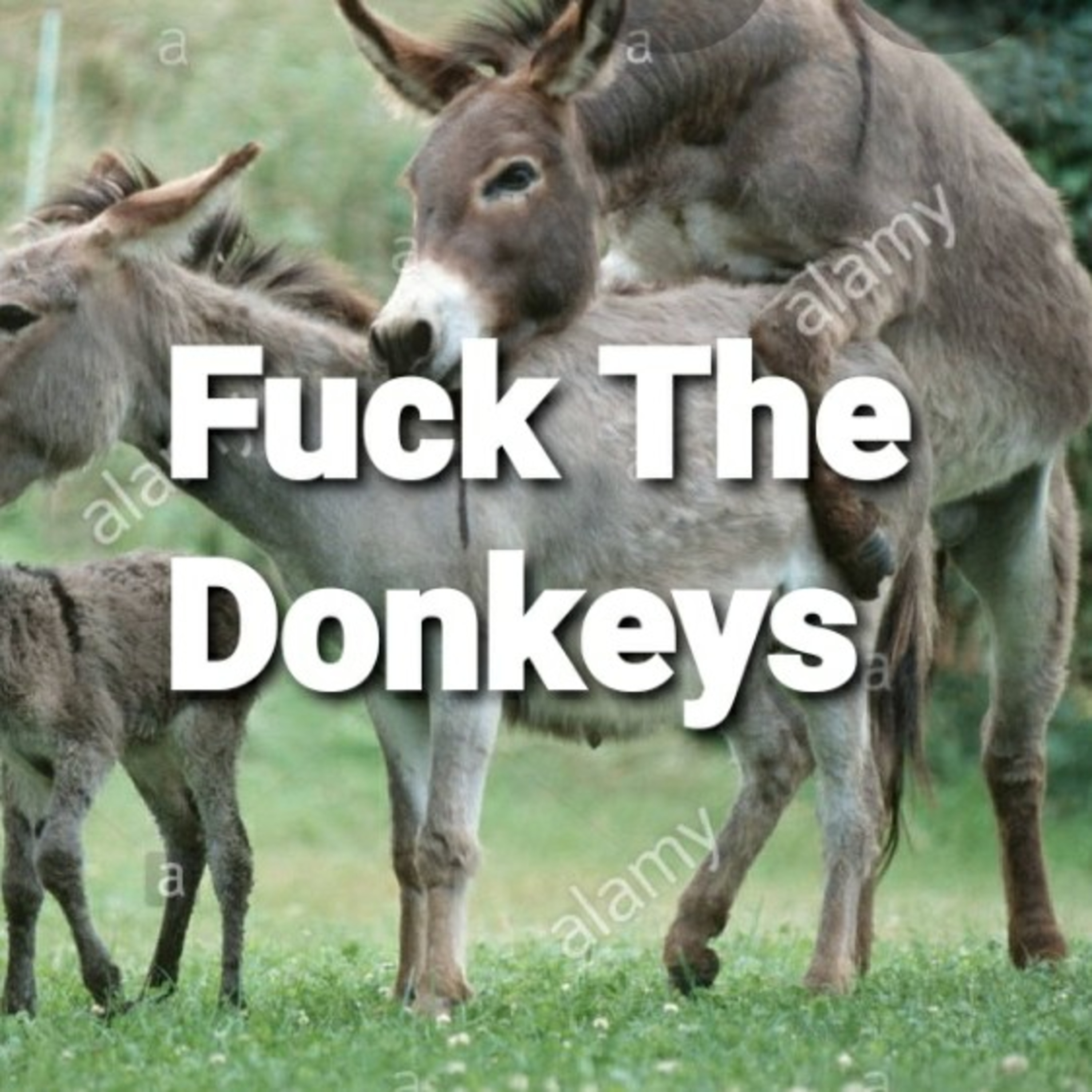 Got my Donkey kickers on episode artwork