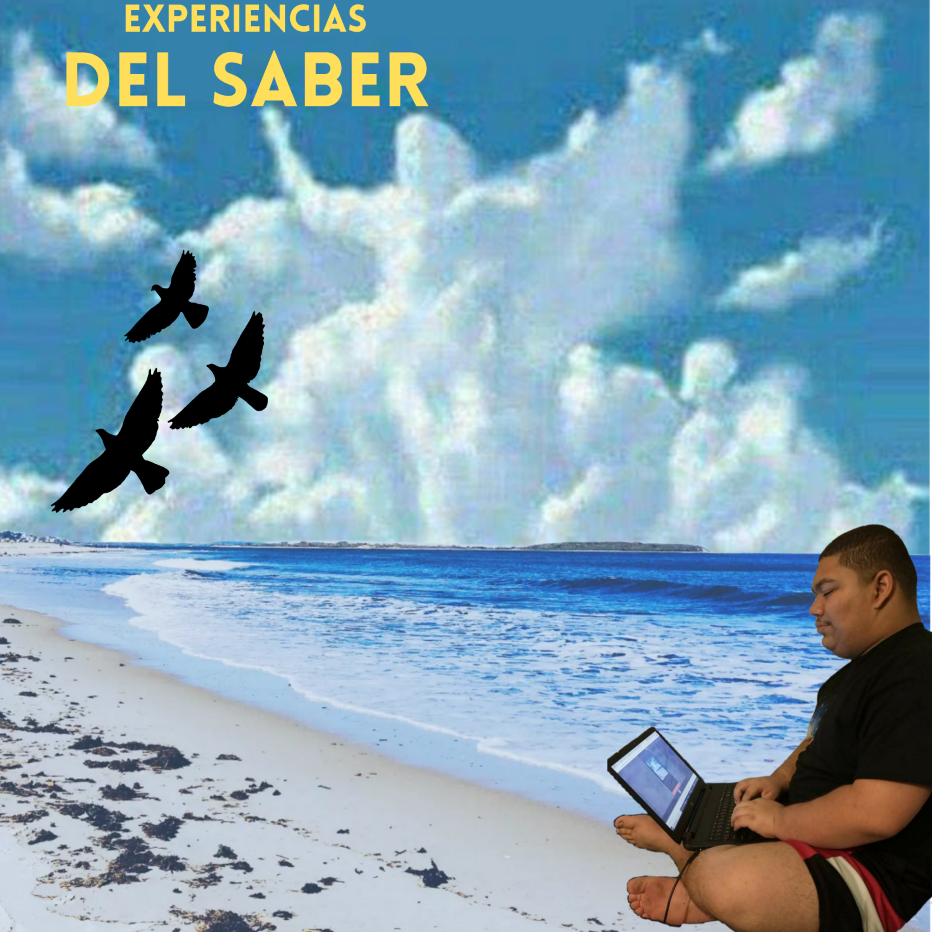 Expriencias del saber