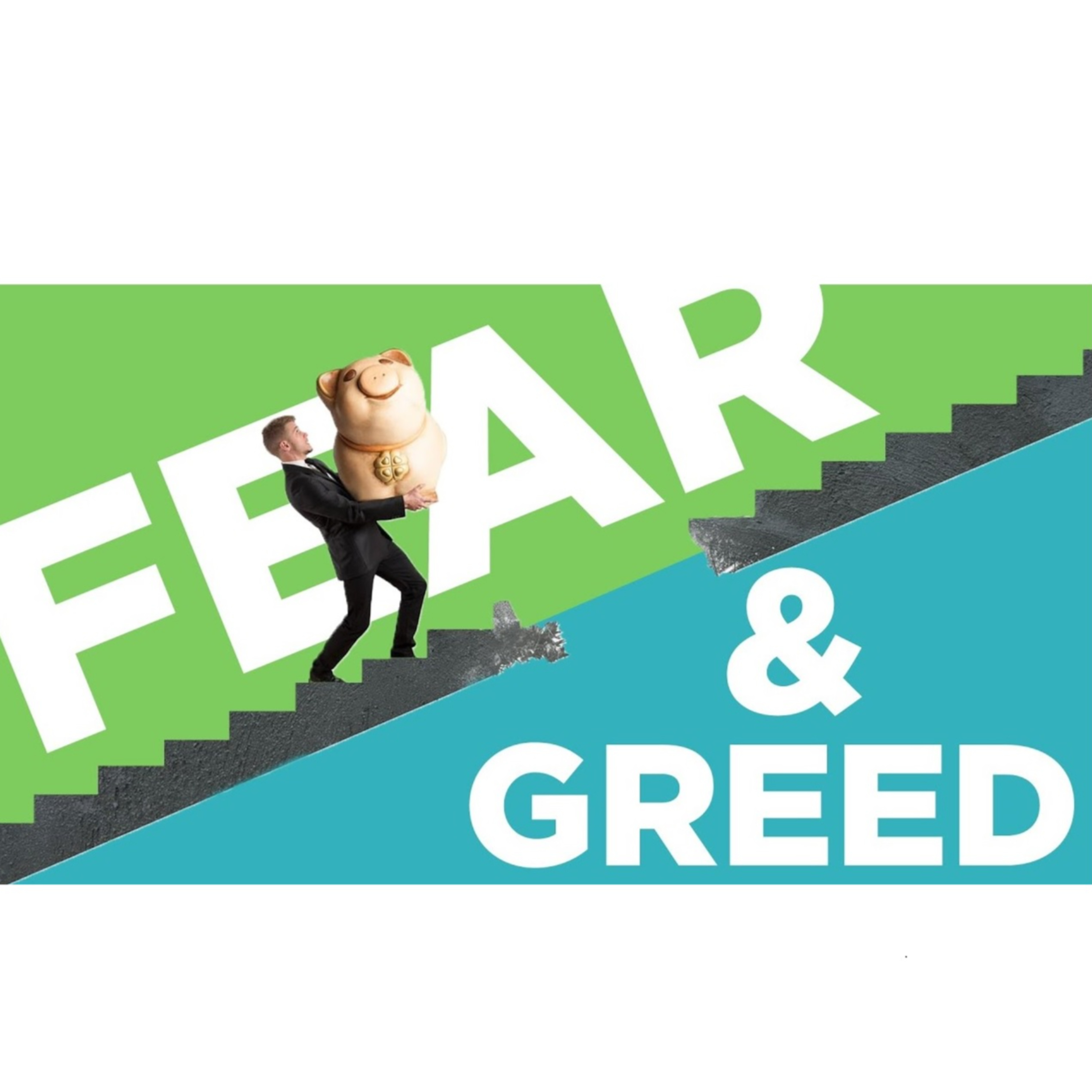 Wall Street Wildlife Investing Podcast