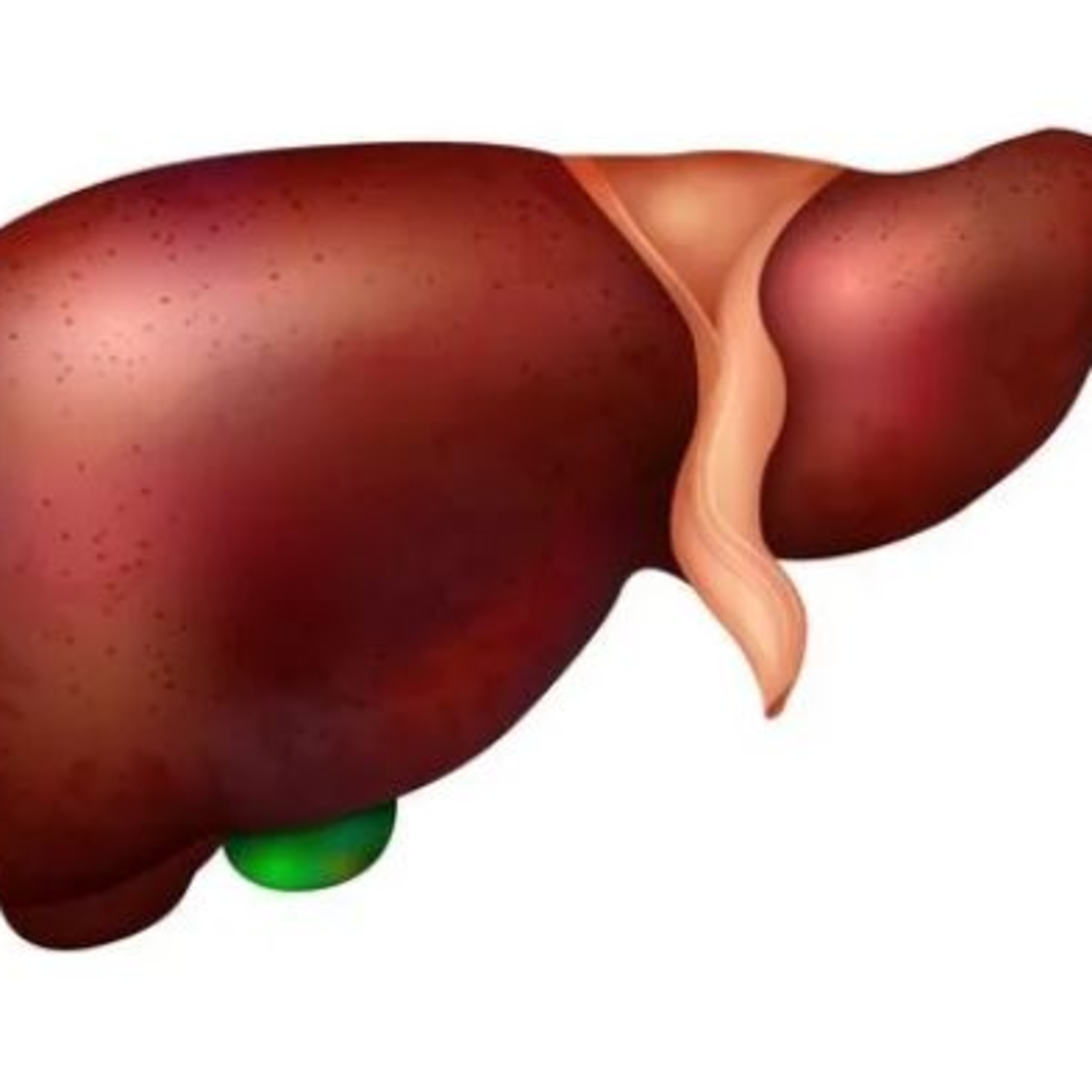 Ethel: 'não há relação entre casos de hepatite em crianças e vacinas da Covid-19'