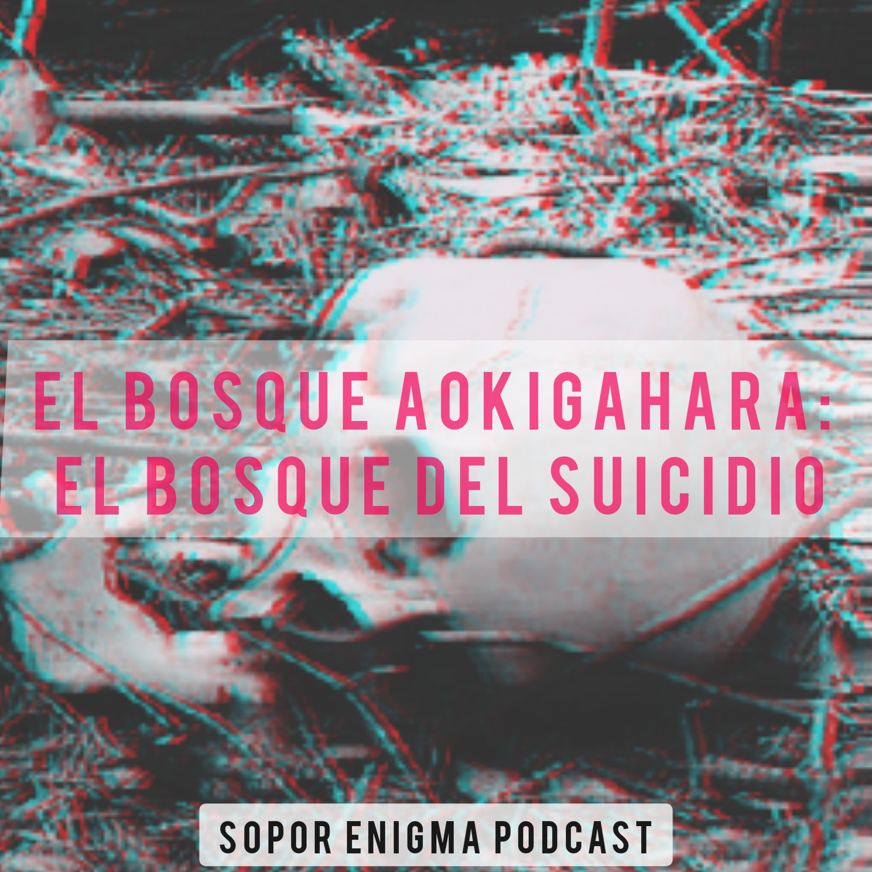 Sopor Enigma Podcast