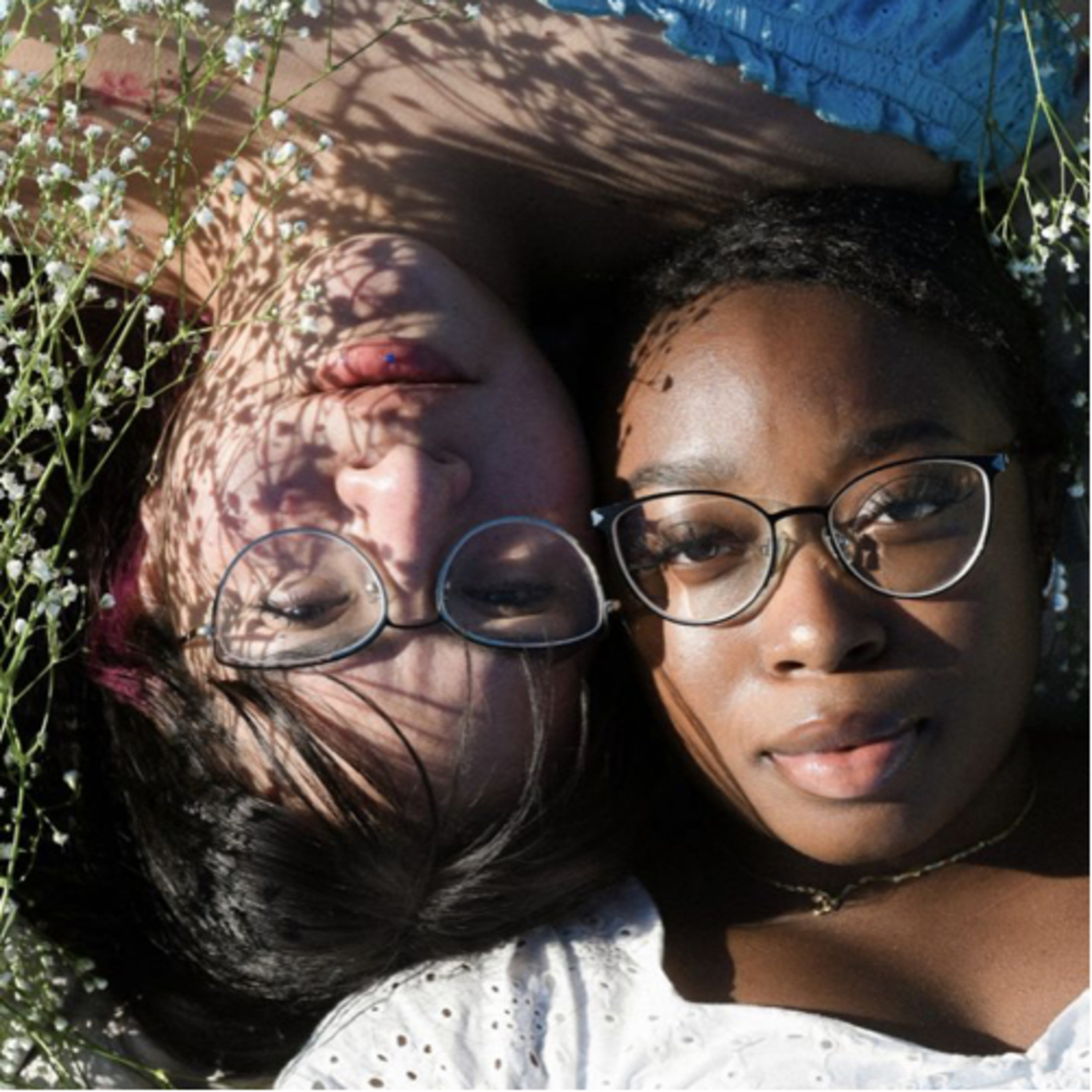 Radicle Narrative