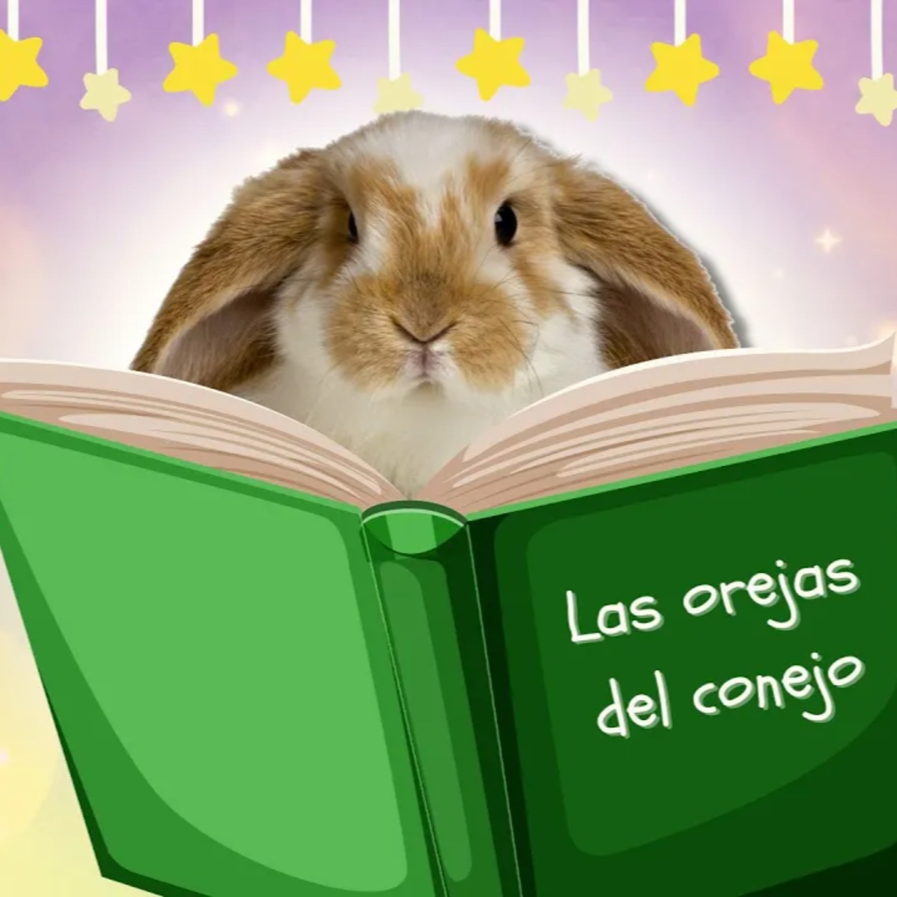 Club del Cuento