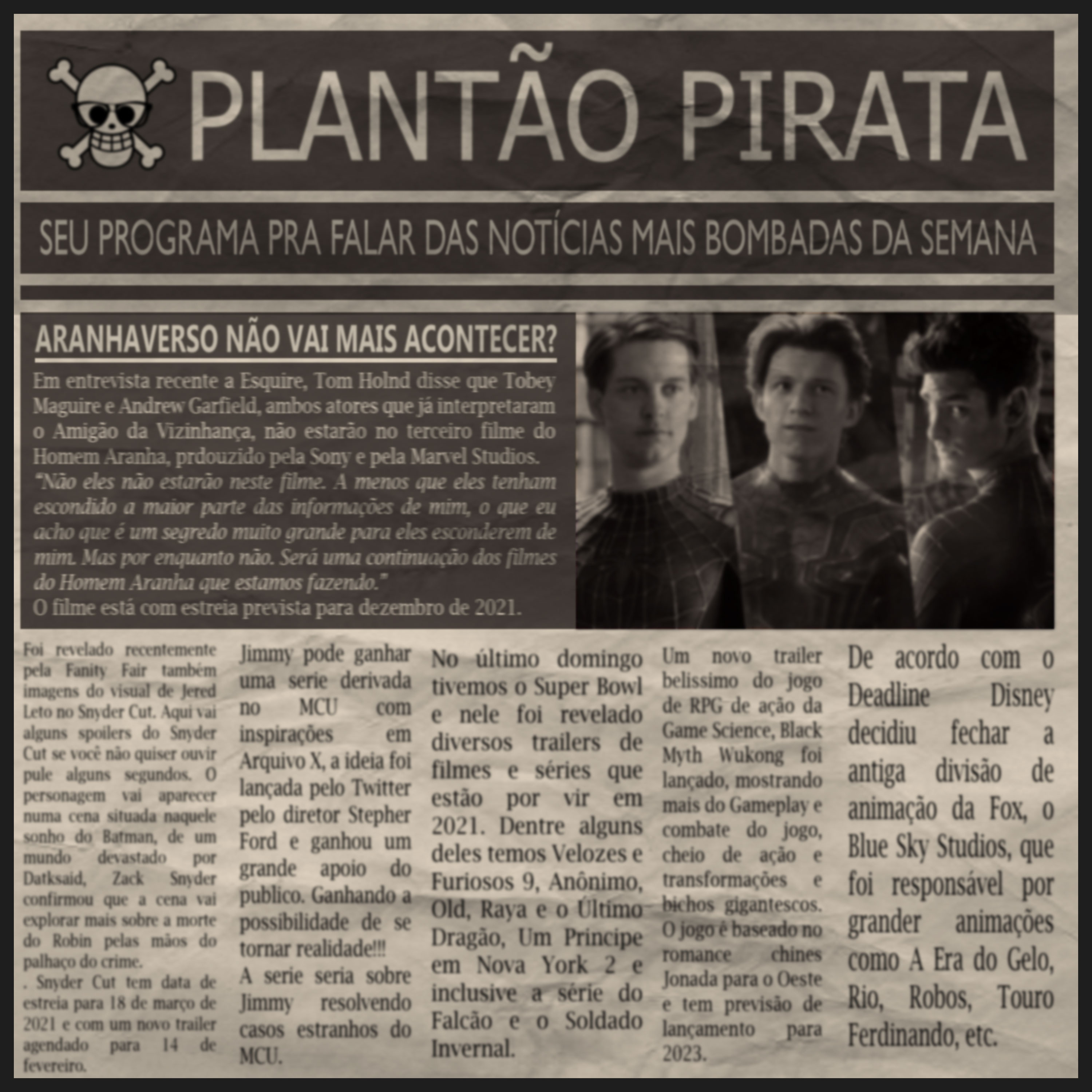 Nerd Pirata