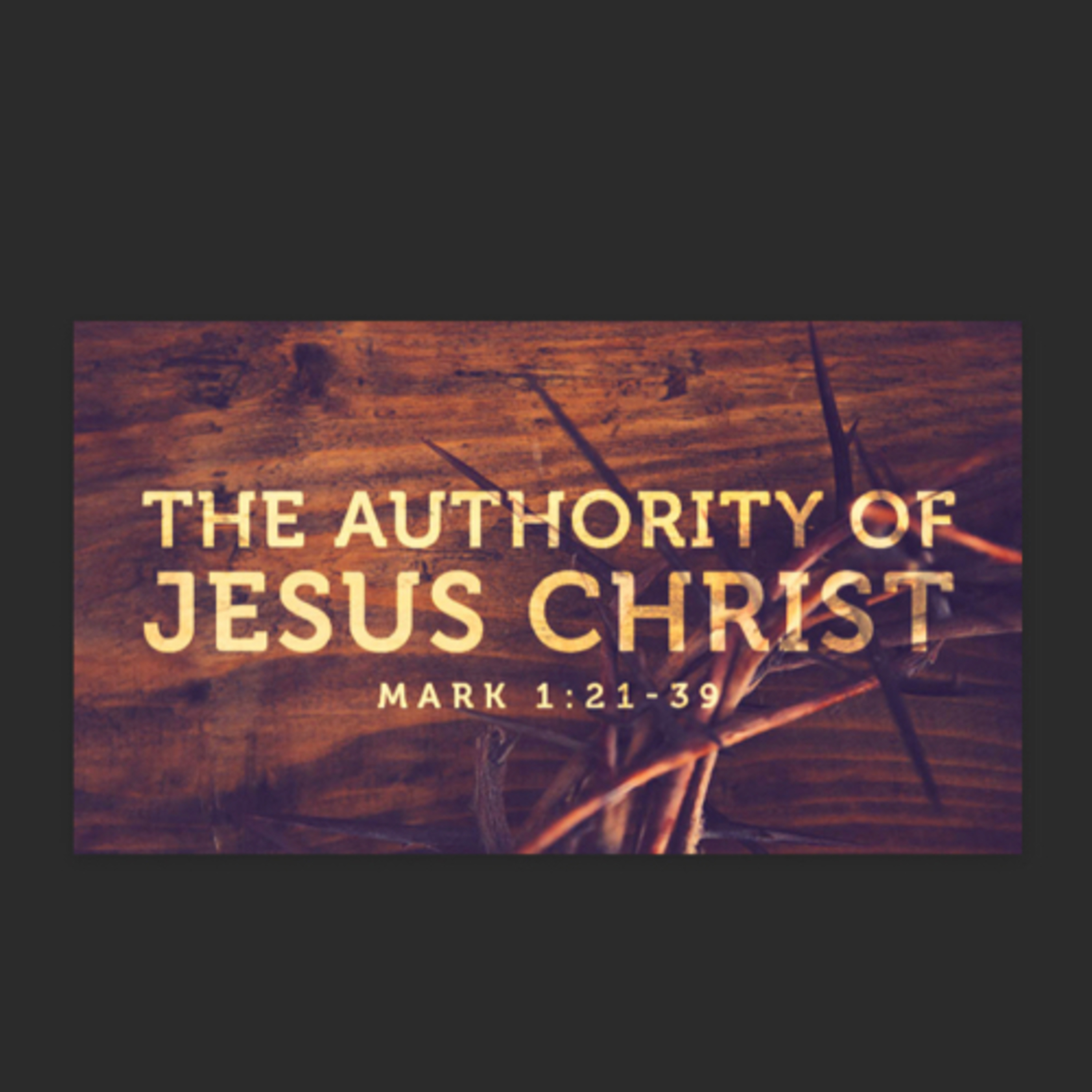 The Godly CEO: Thriving as a Christian Mompreneur