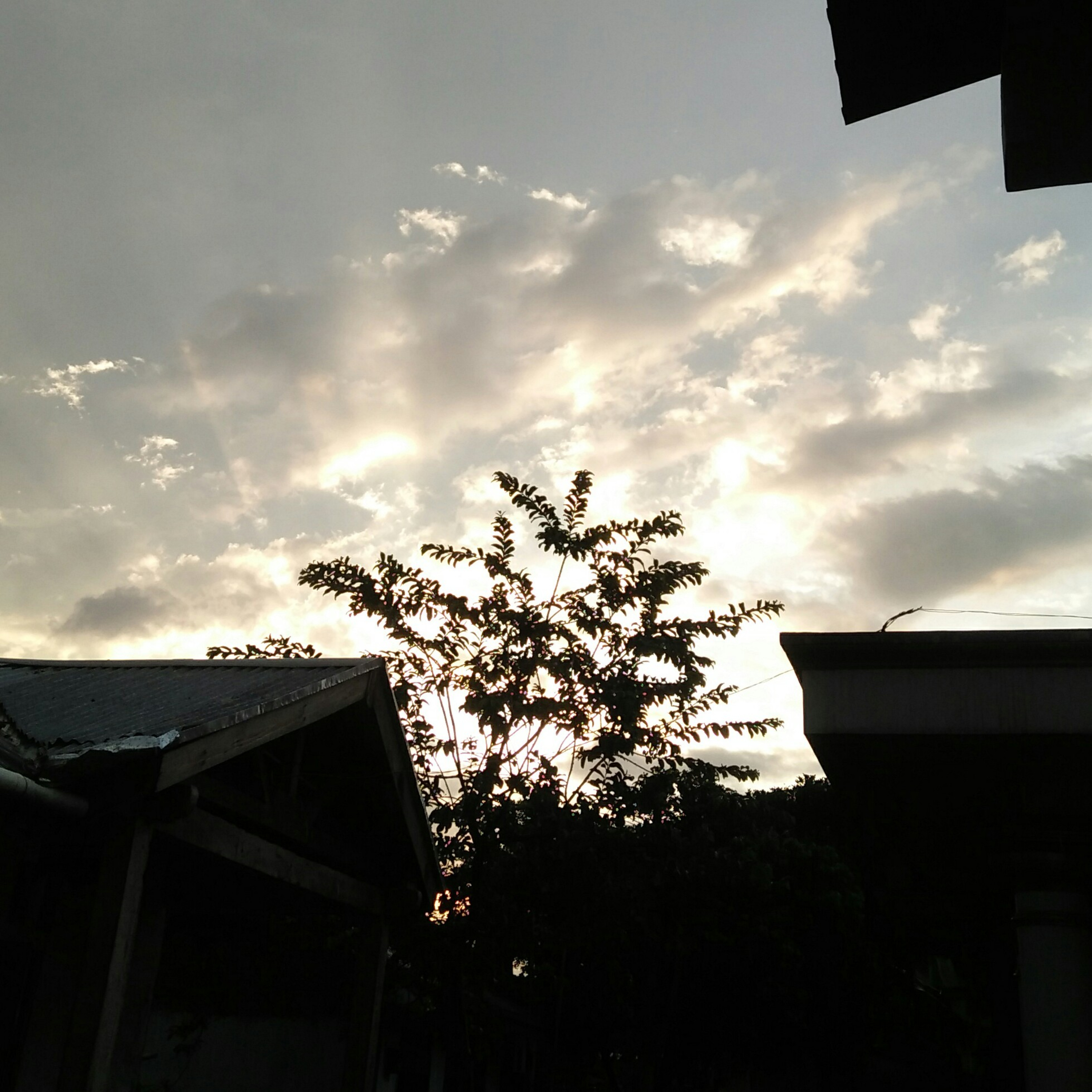 Rizkinasha