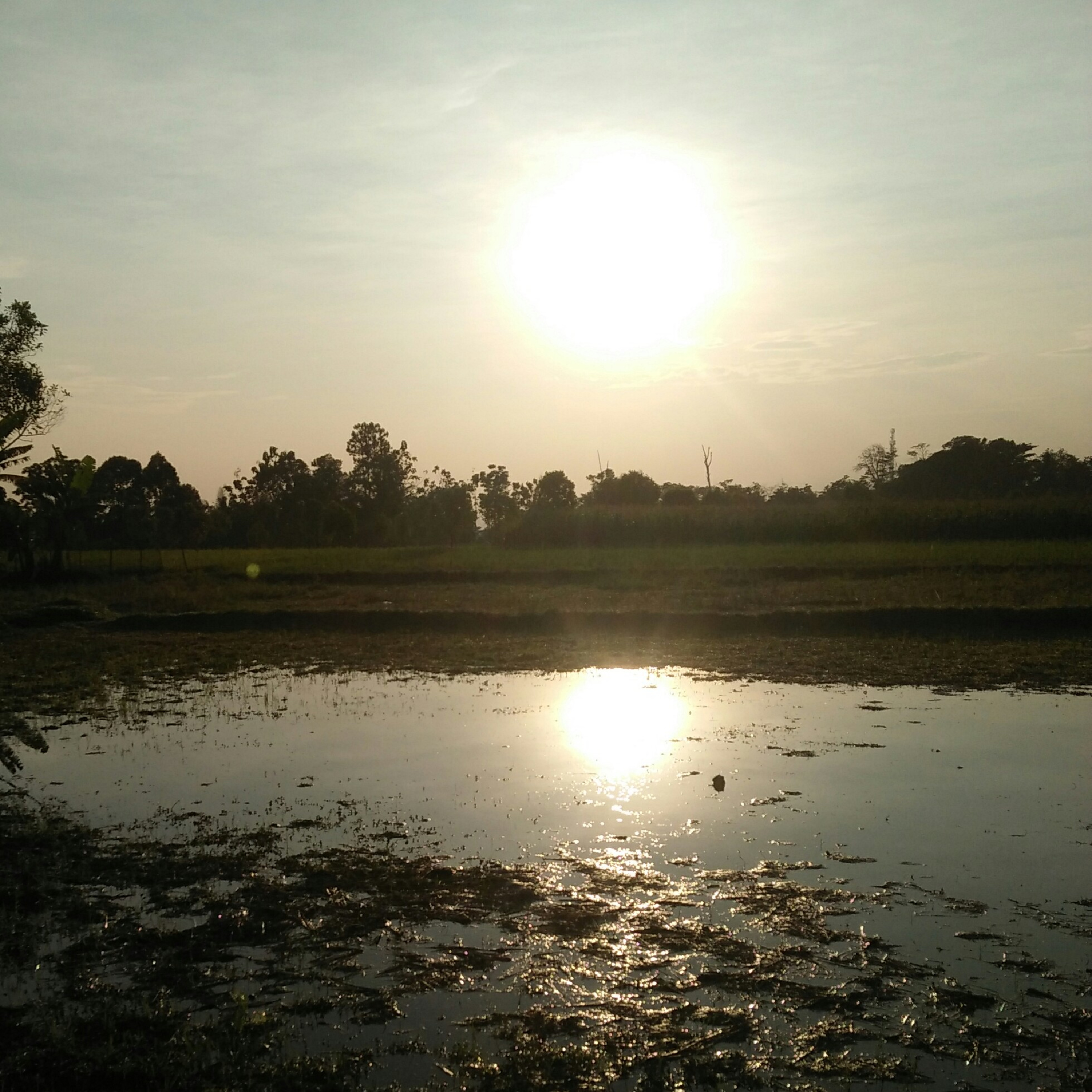 Rizkinasha