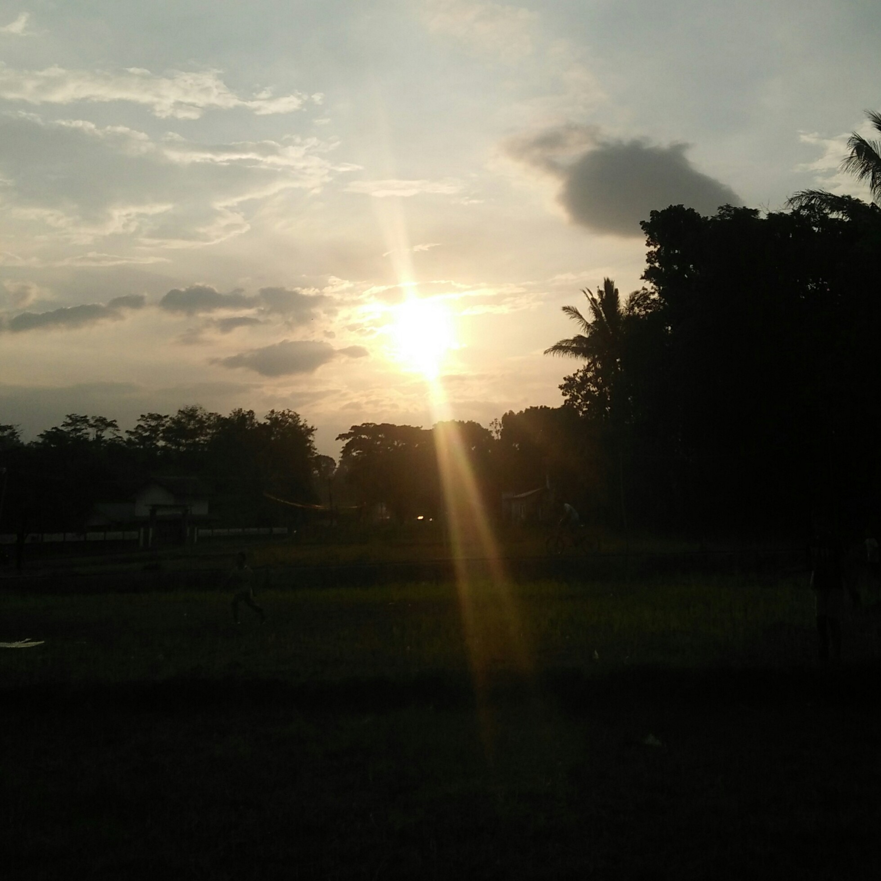 Rizkinasha