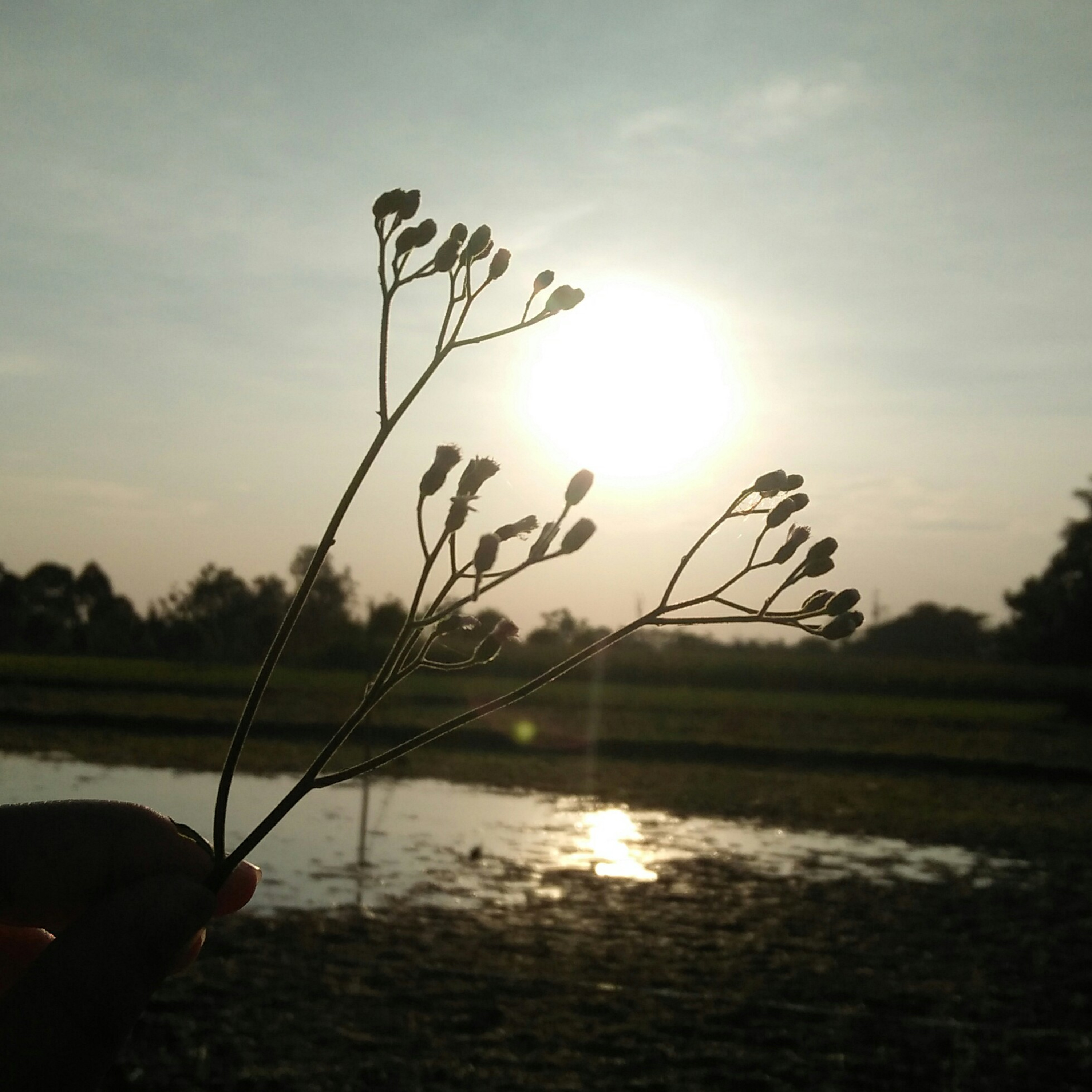 Rizkinasha