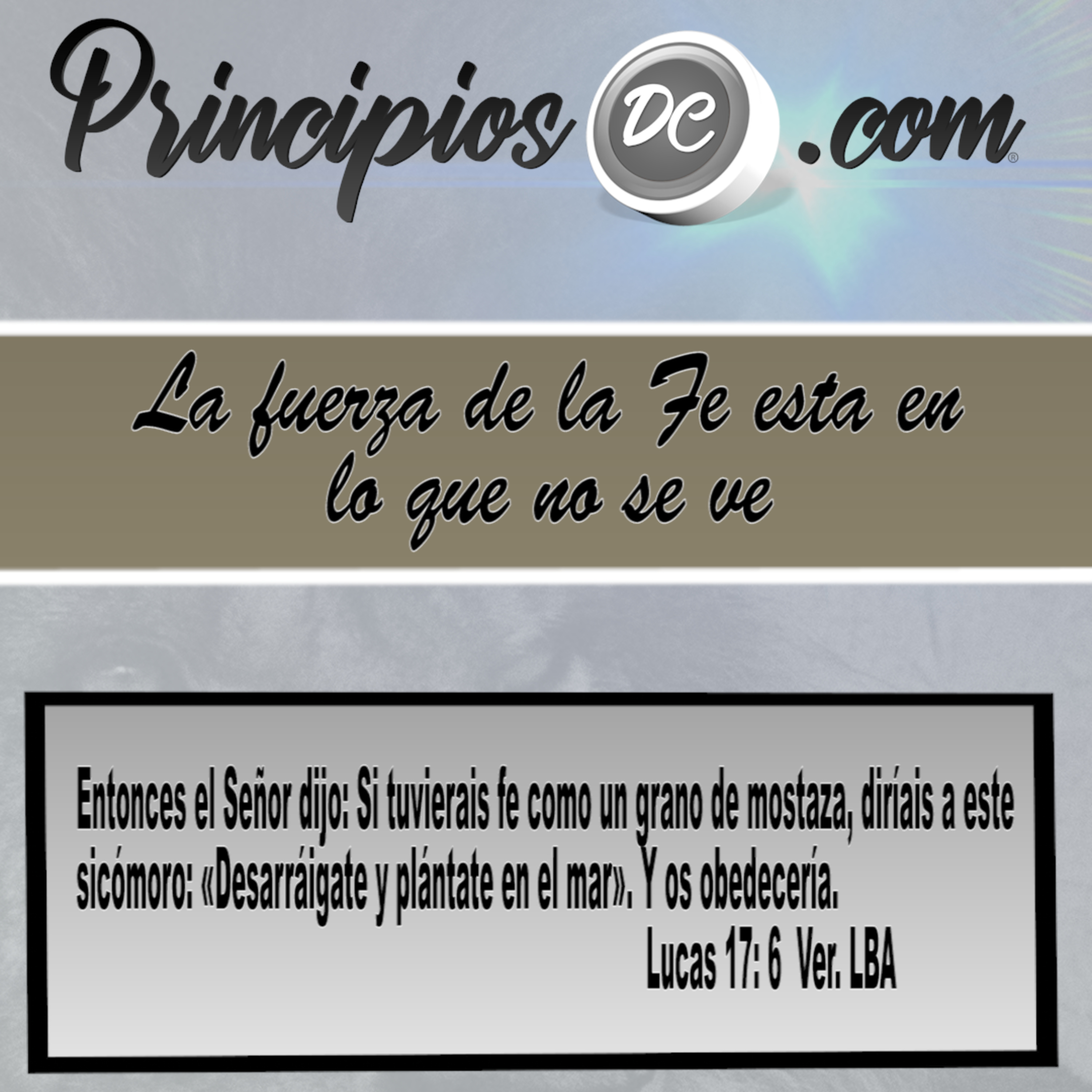 PrincipiosDC