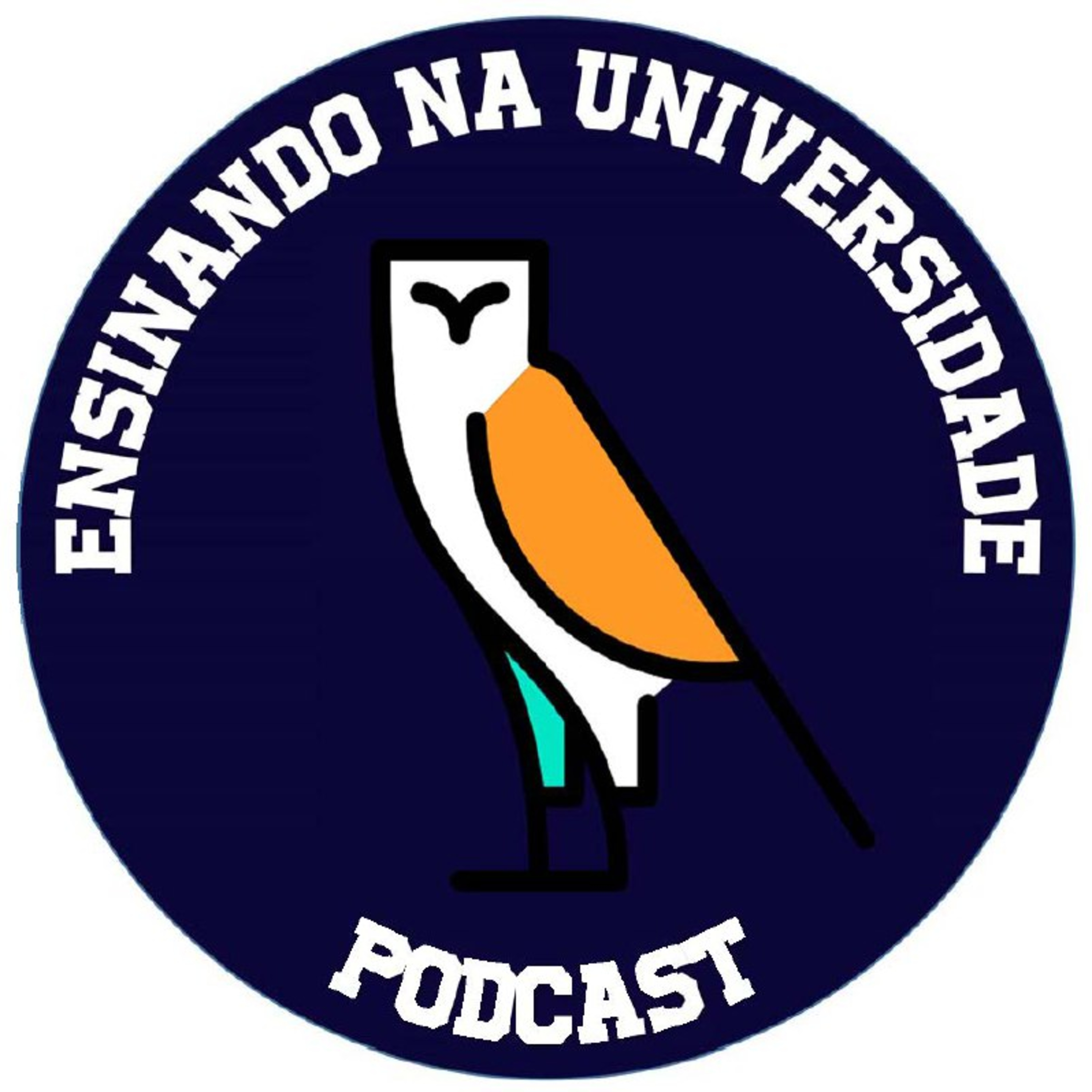 Ensinando na Universidade