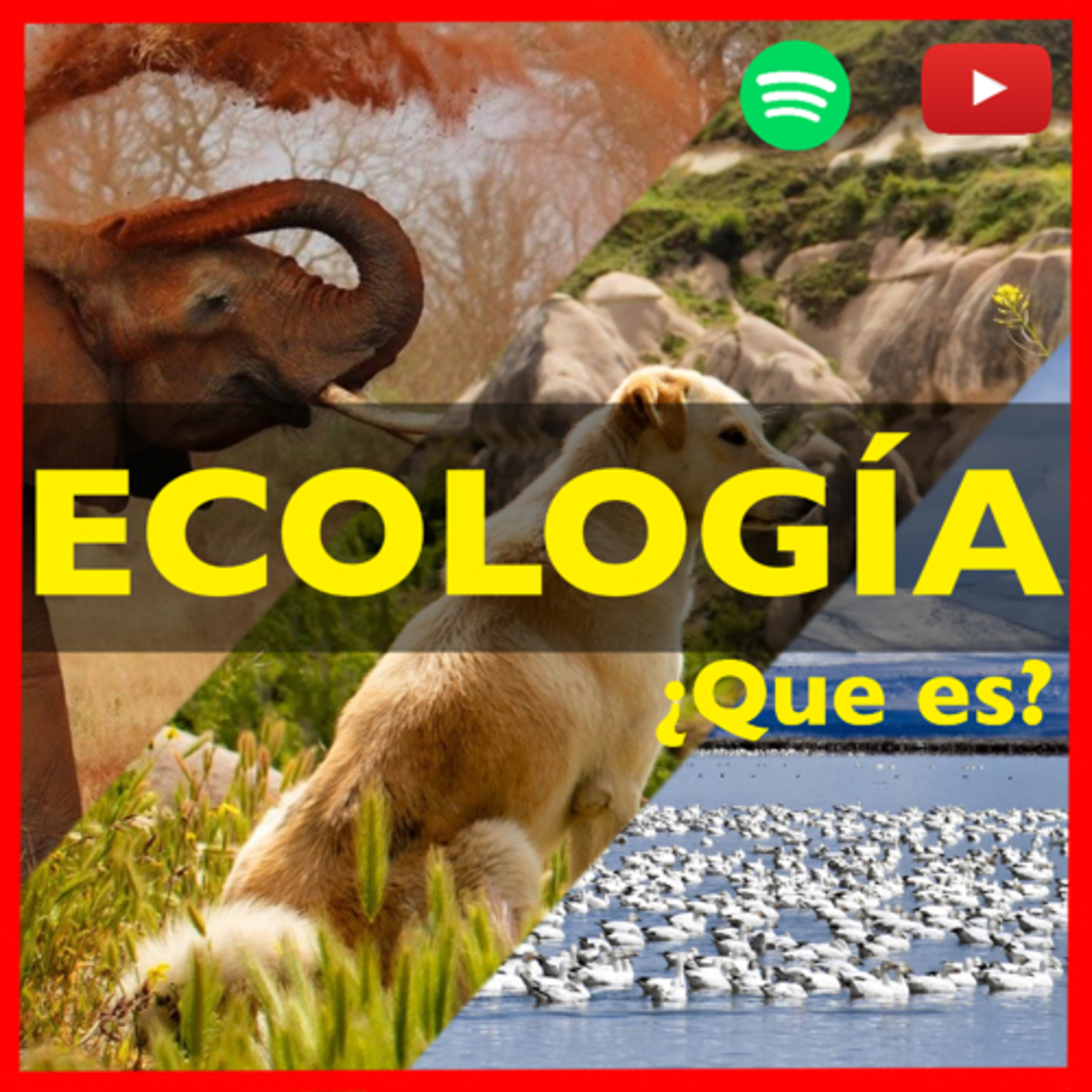 Un dato de color