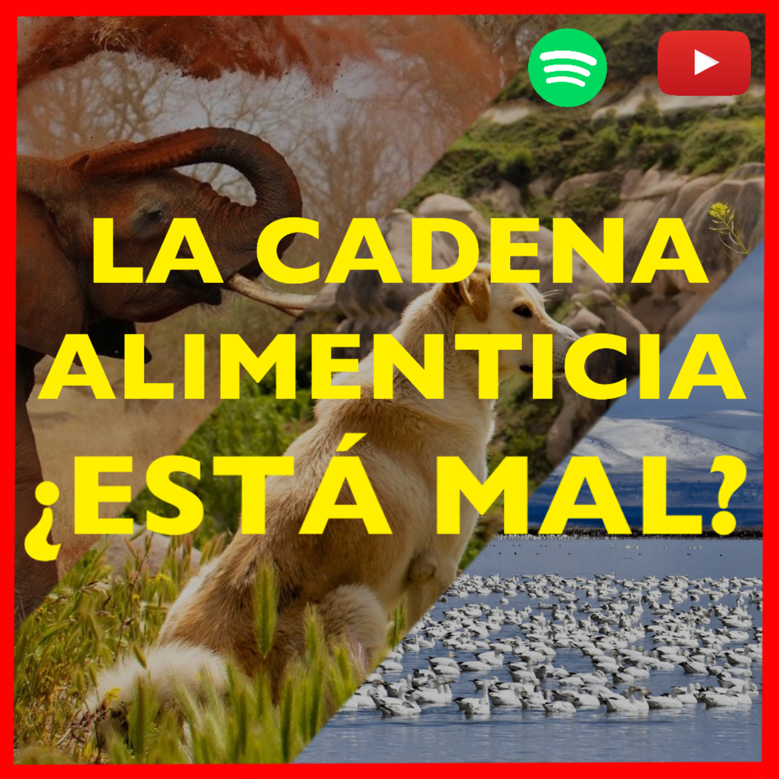 Un dato de color