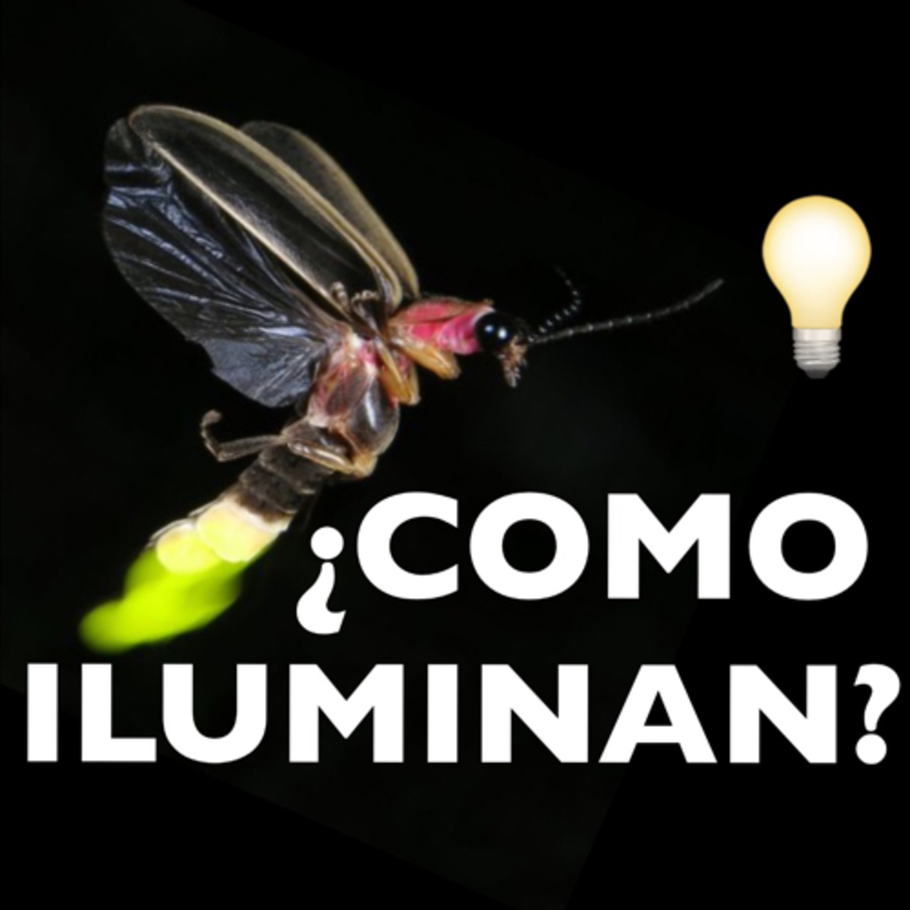 Un dato de color