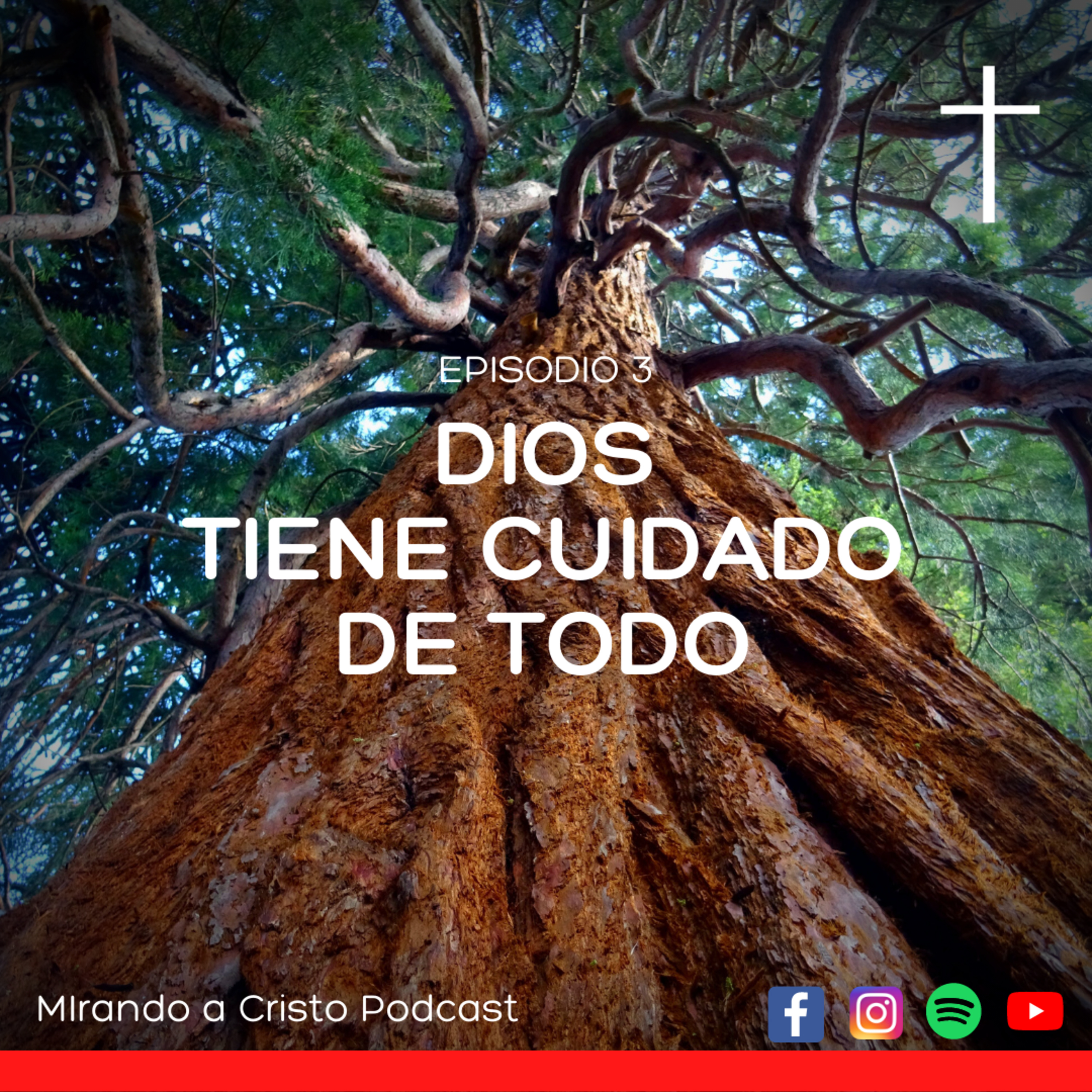 Mirando A Cristo