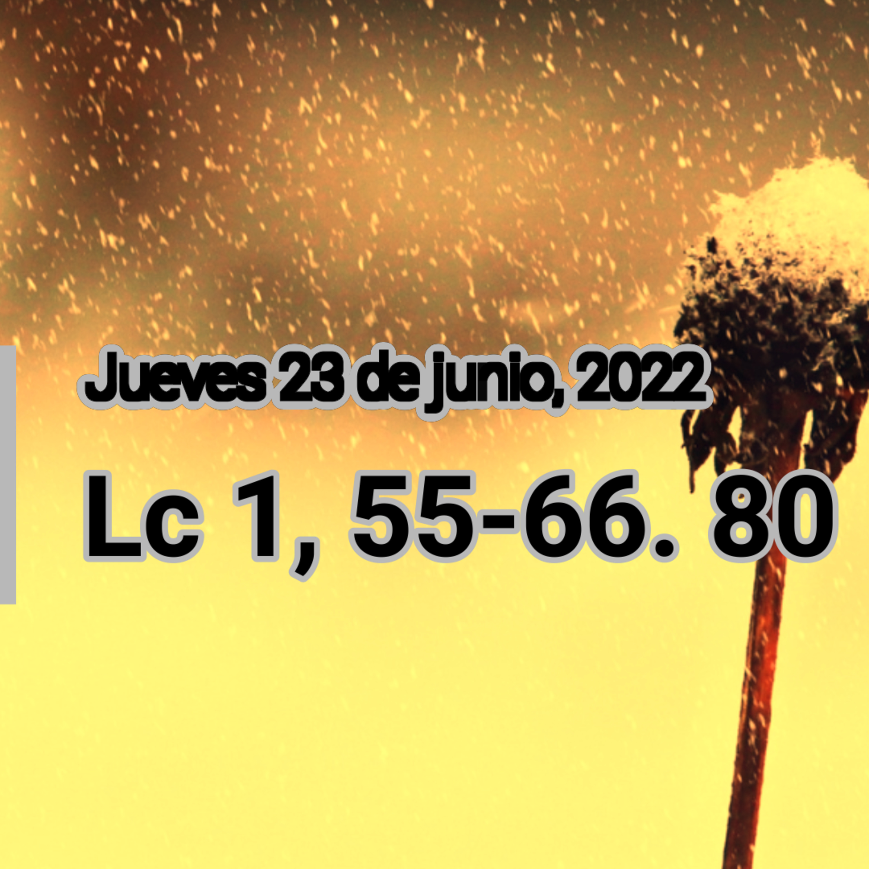 Portada de Comunidad Católica Virtual