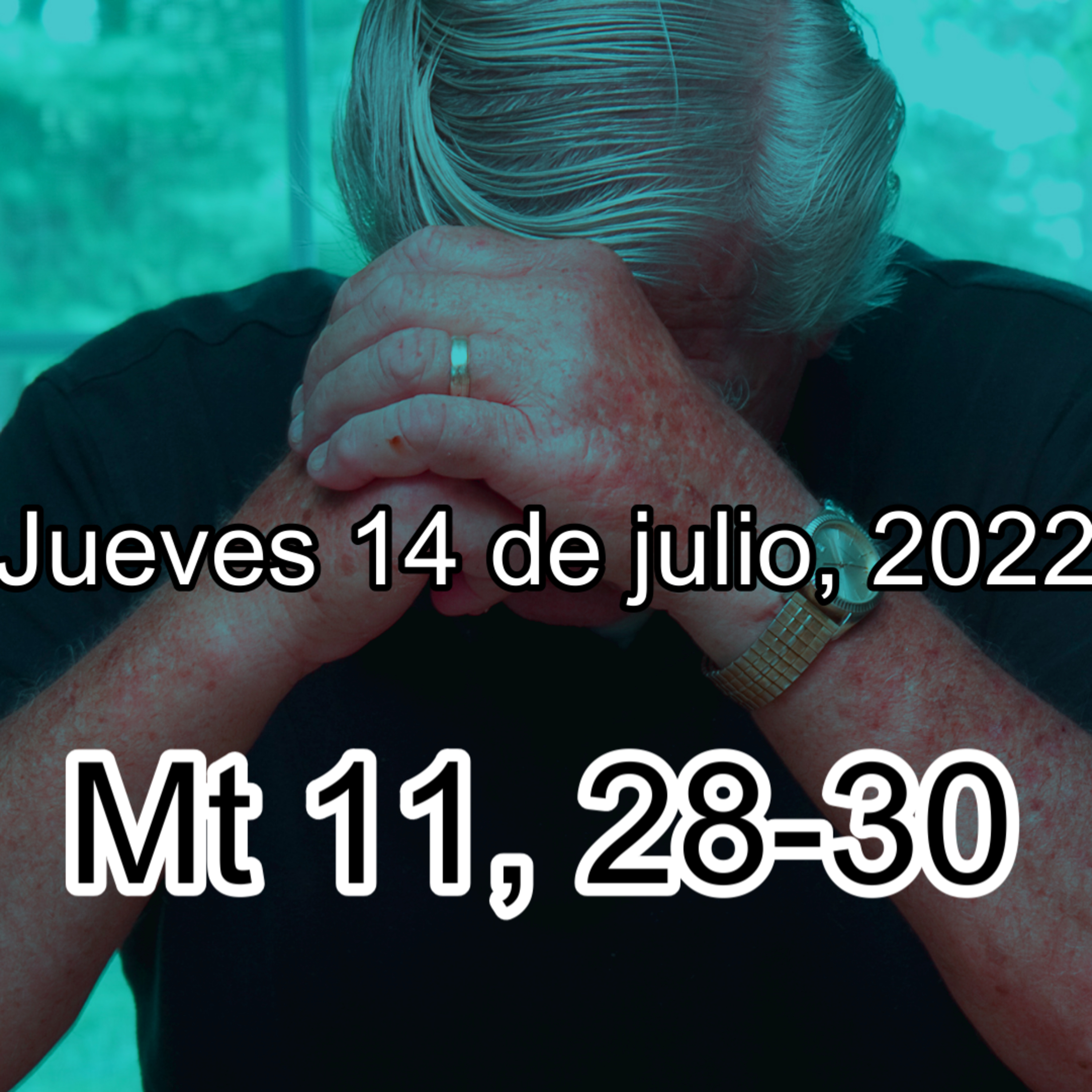 Portada de Comunidad Católica Virtual