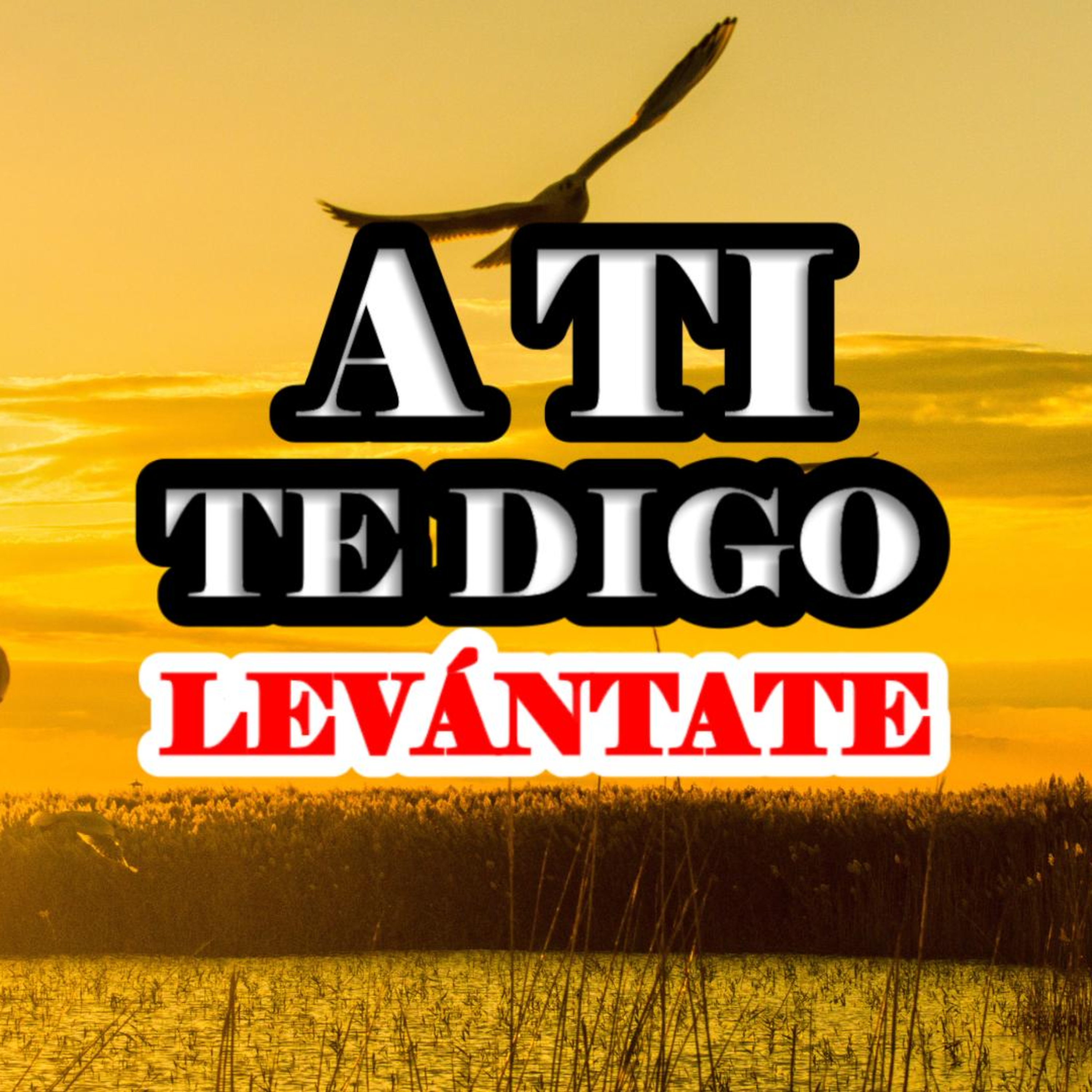 Portada de Comunidad Católica Virtual