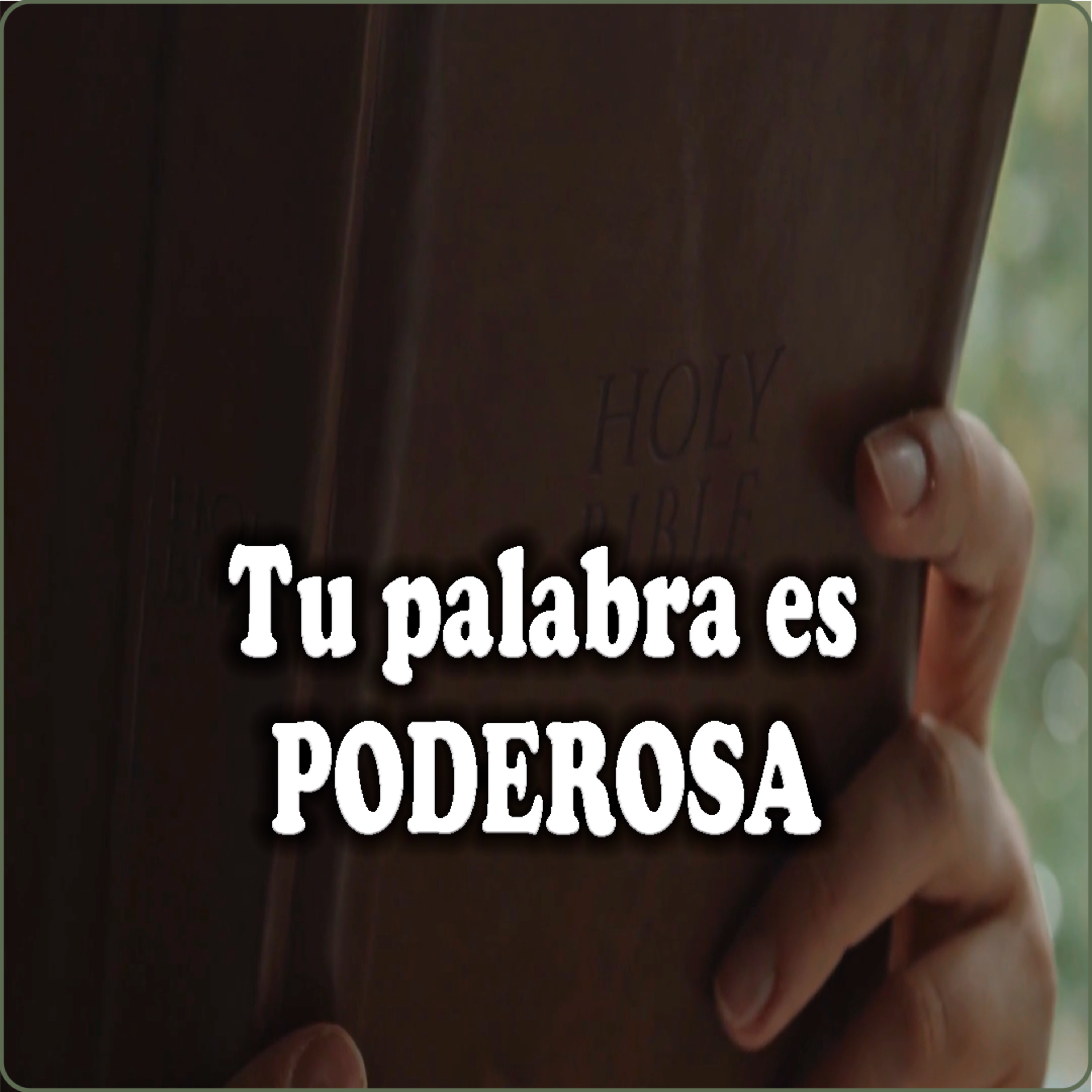Portada de Comunidad Católica Virtual