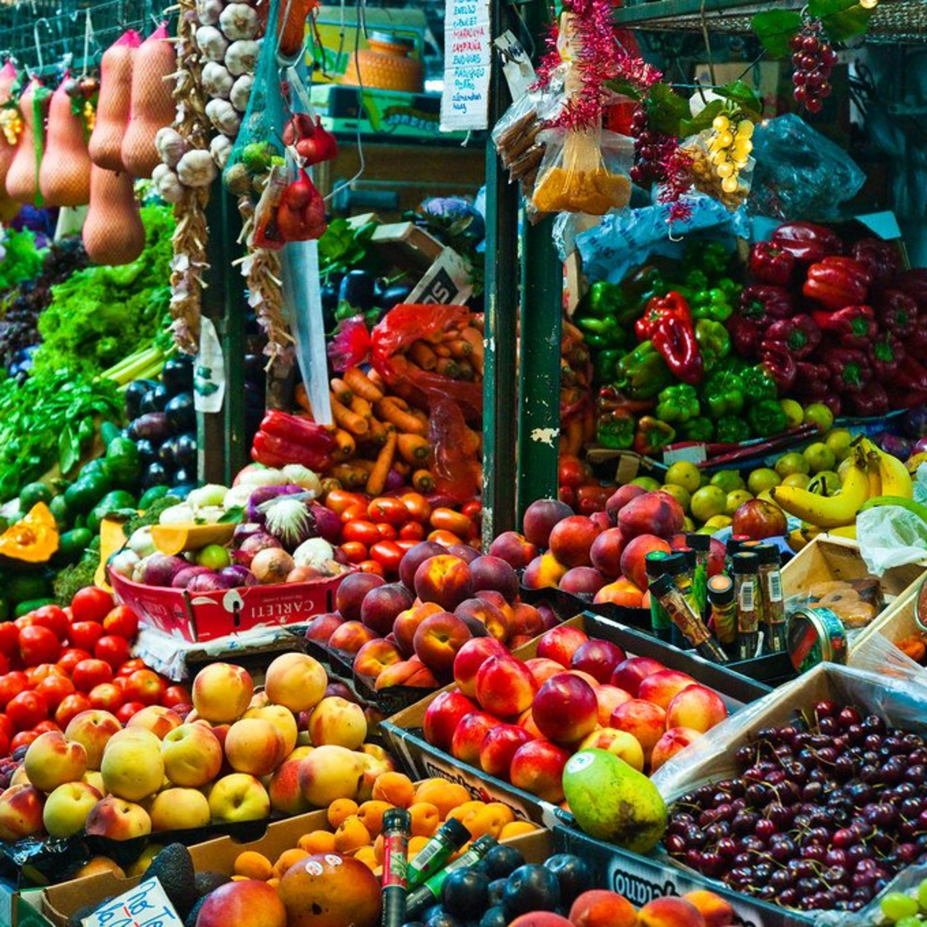 L\'EcoPost - Una guida alla sostenibilità