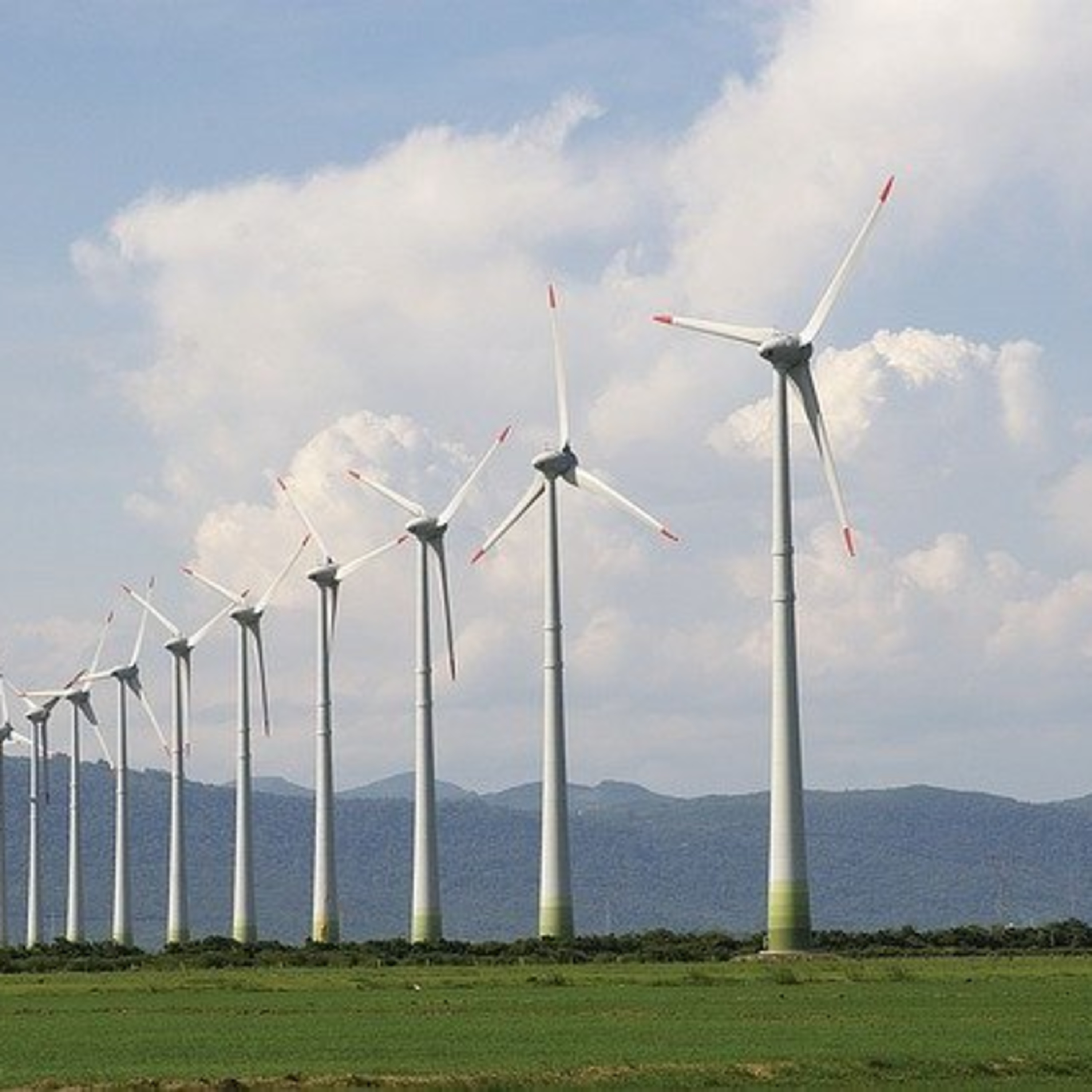 L\'EcoPost - Una guida alla sostenibilità