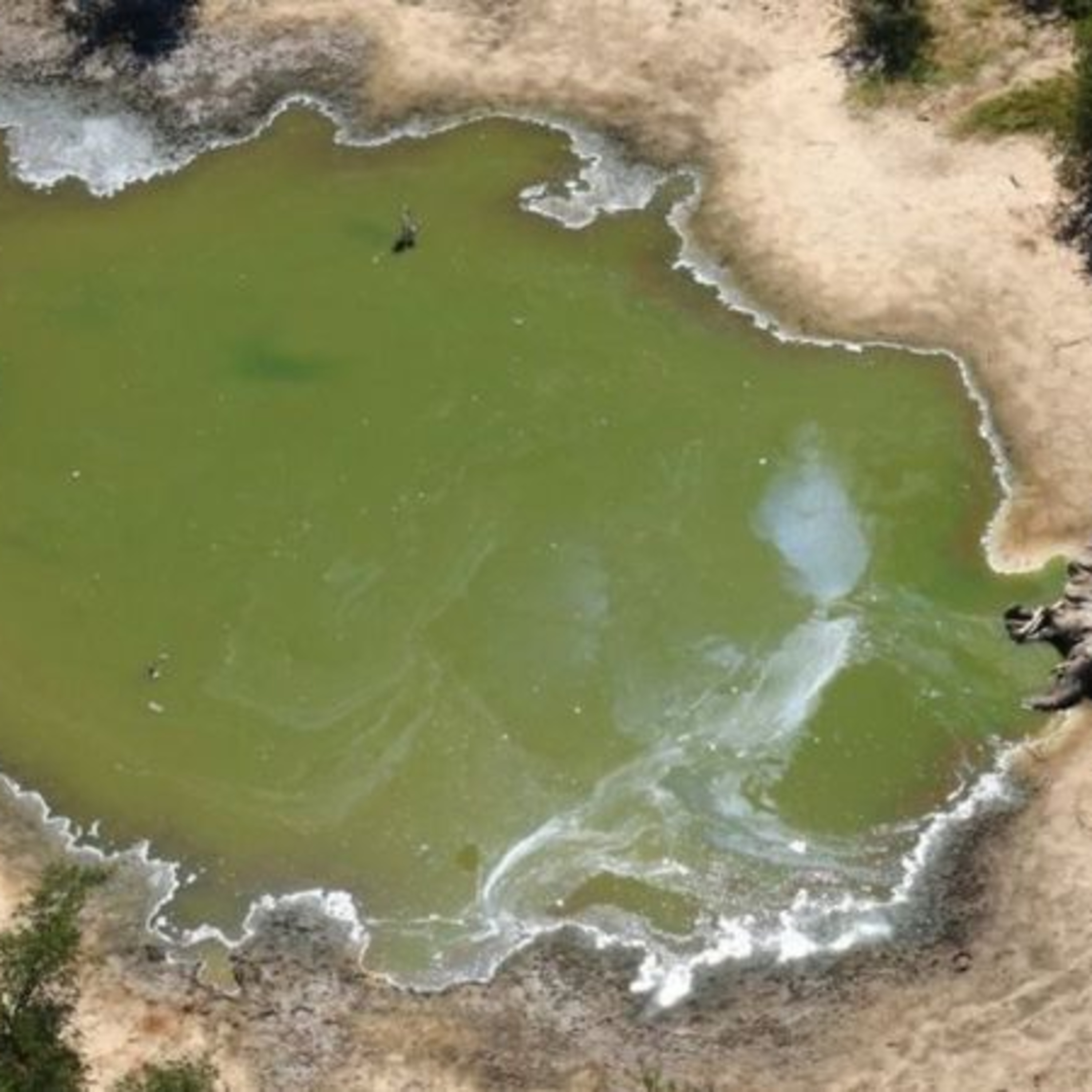 L\'EcoPost - Una guida alla sostenibilità