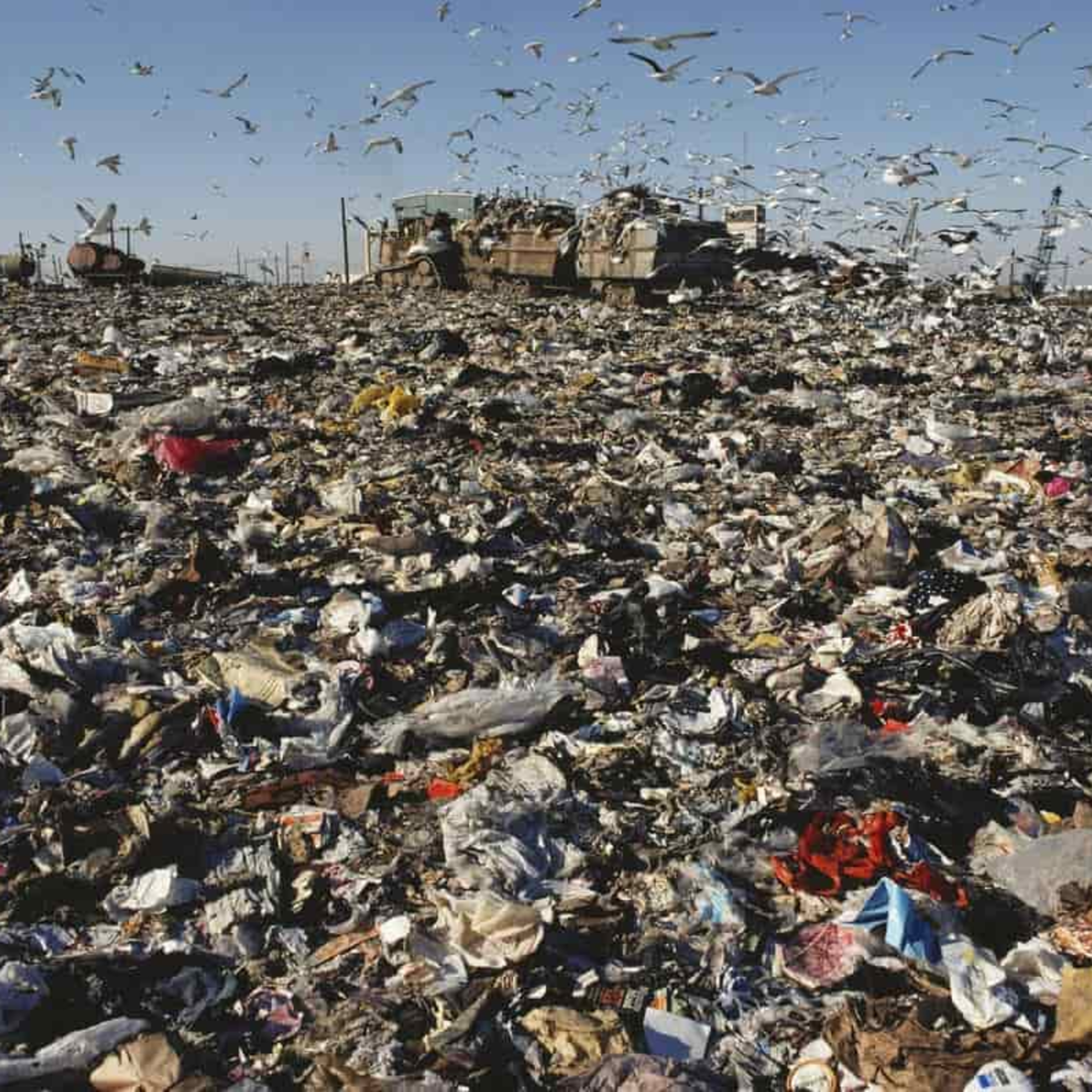 L\'EcoPost - Una guida alla sostenibilità