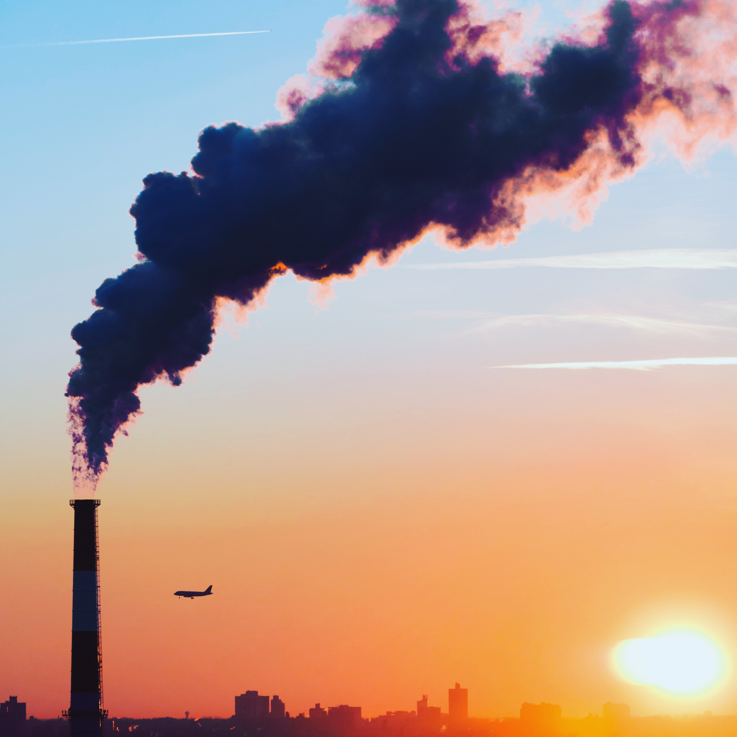 L\'EcoPost - Una guida alla sostenibilità