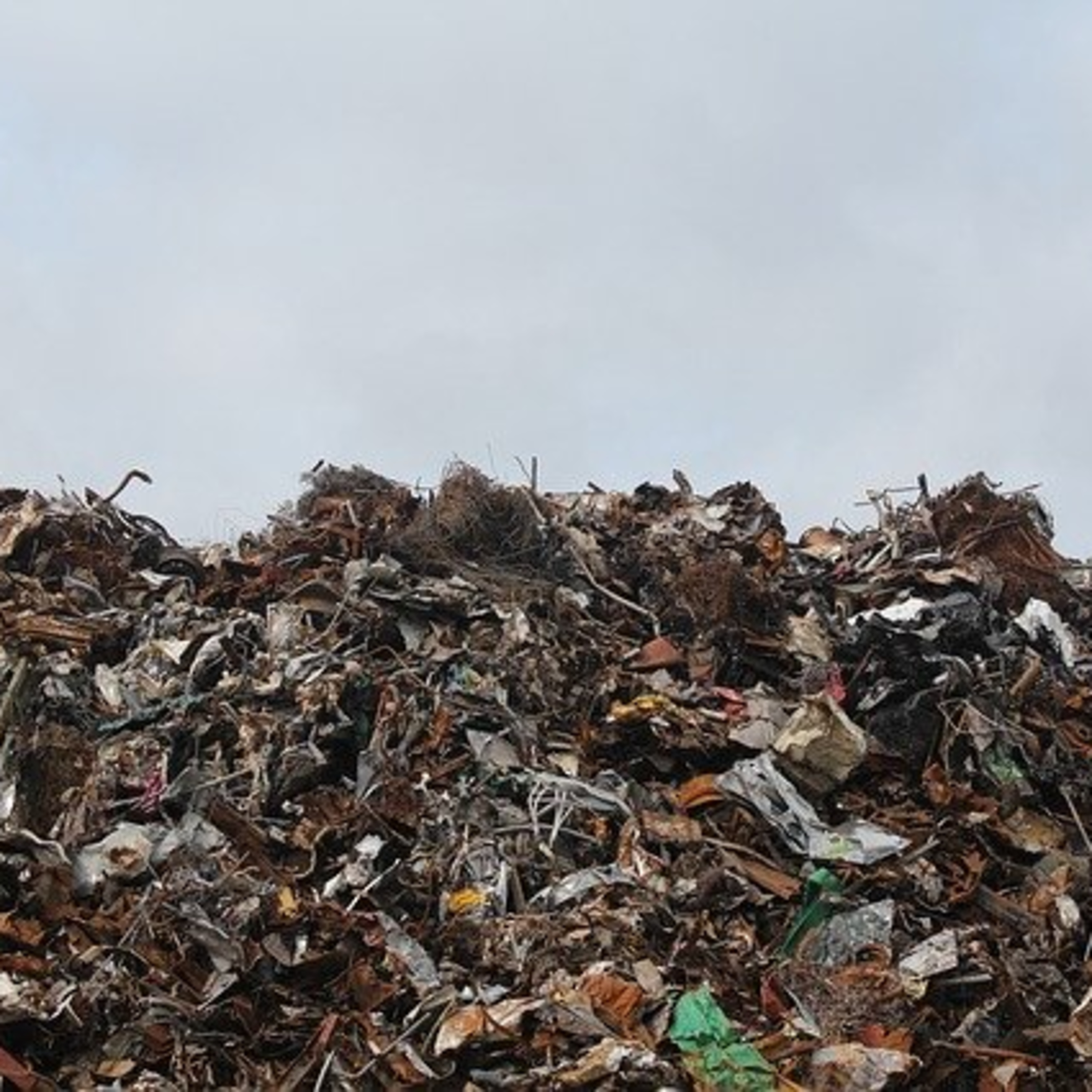 L\'EcoPost - Una guida alla sostenibilità