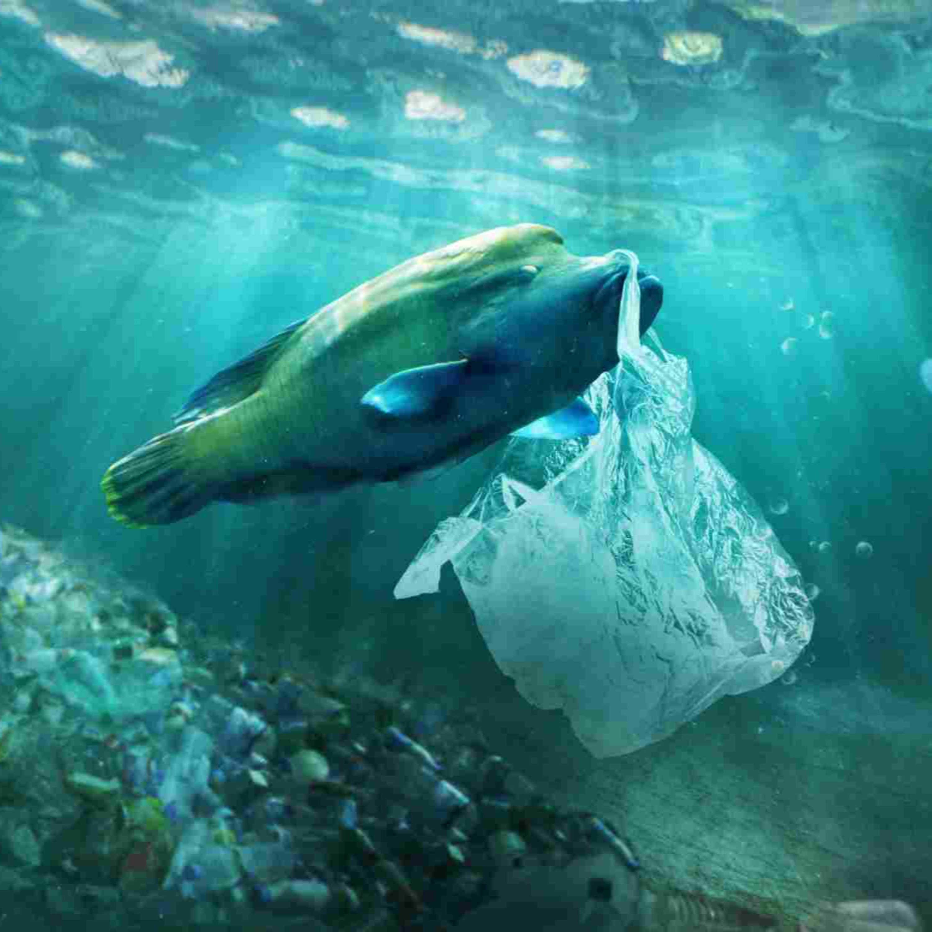 L\'EcoPost - Una guida alla sostenibilità