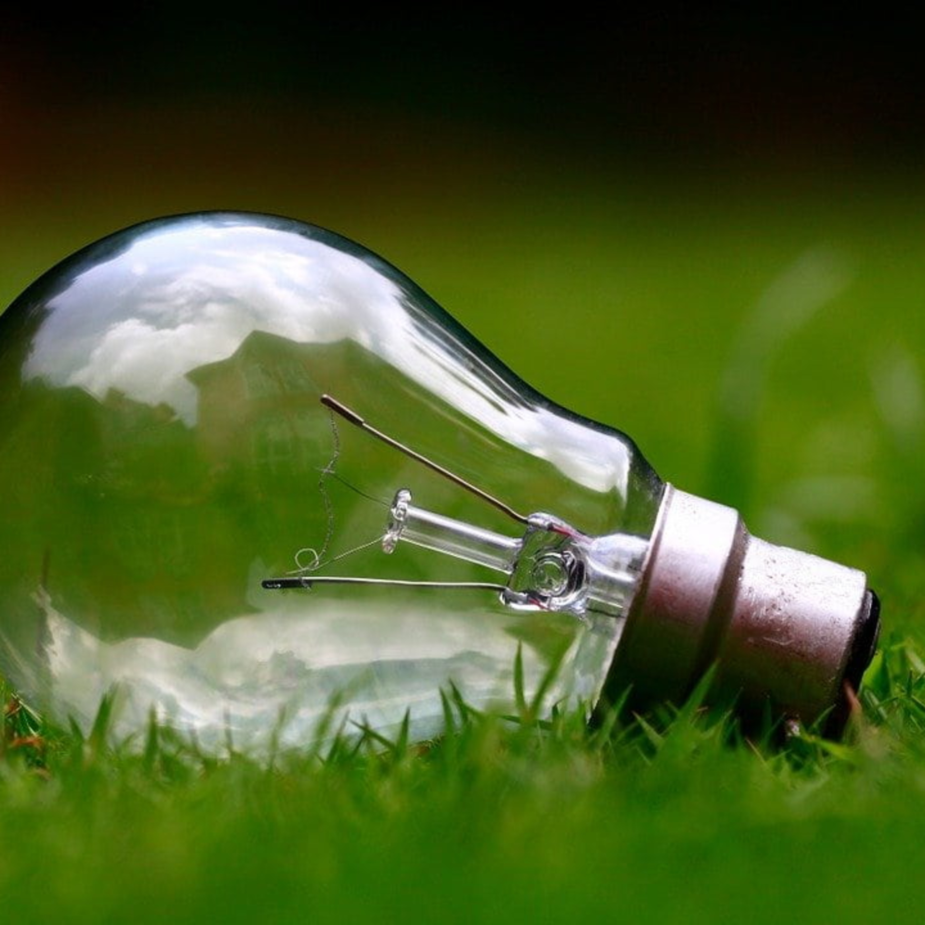 L\'EcoPost - Una guida alla sostenibilità