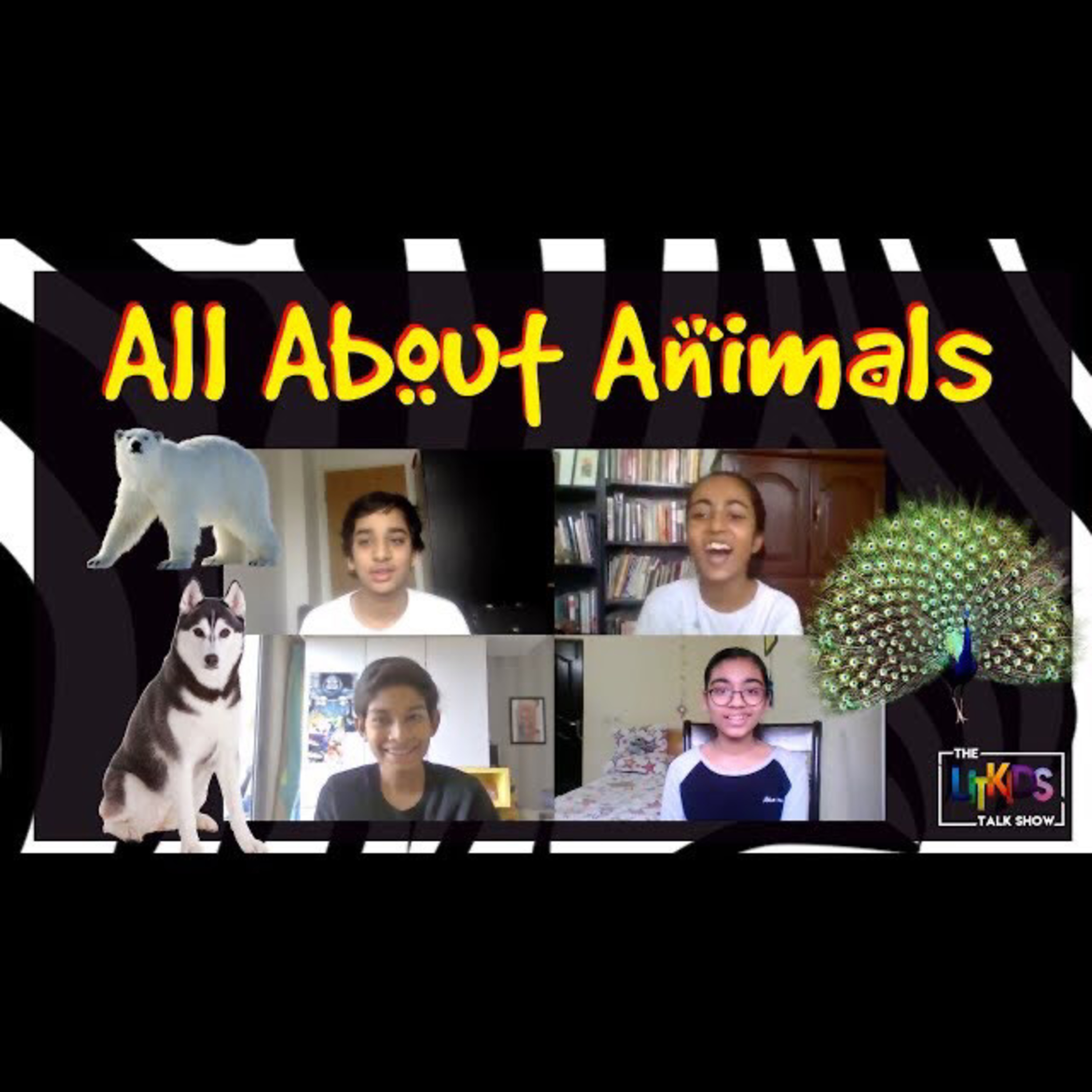 The LITKIDS Talk Show