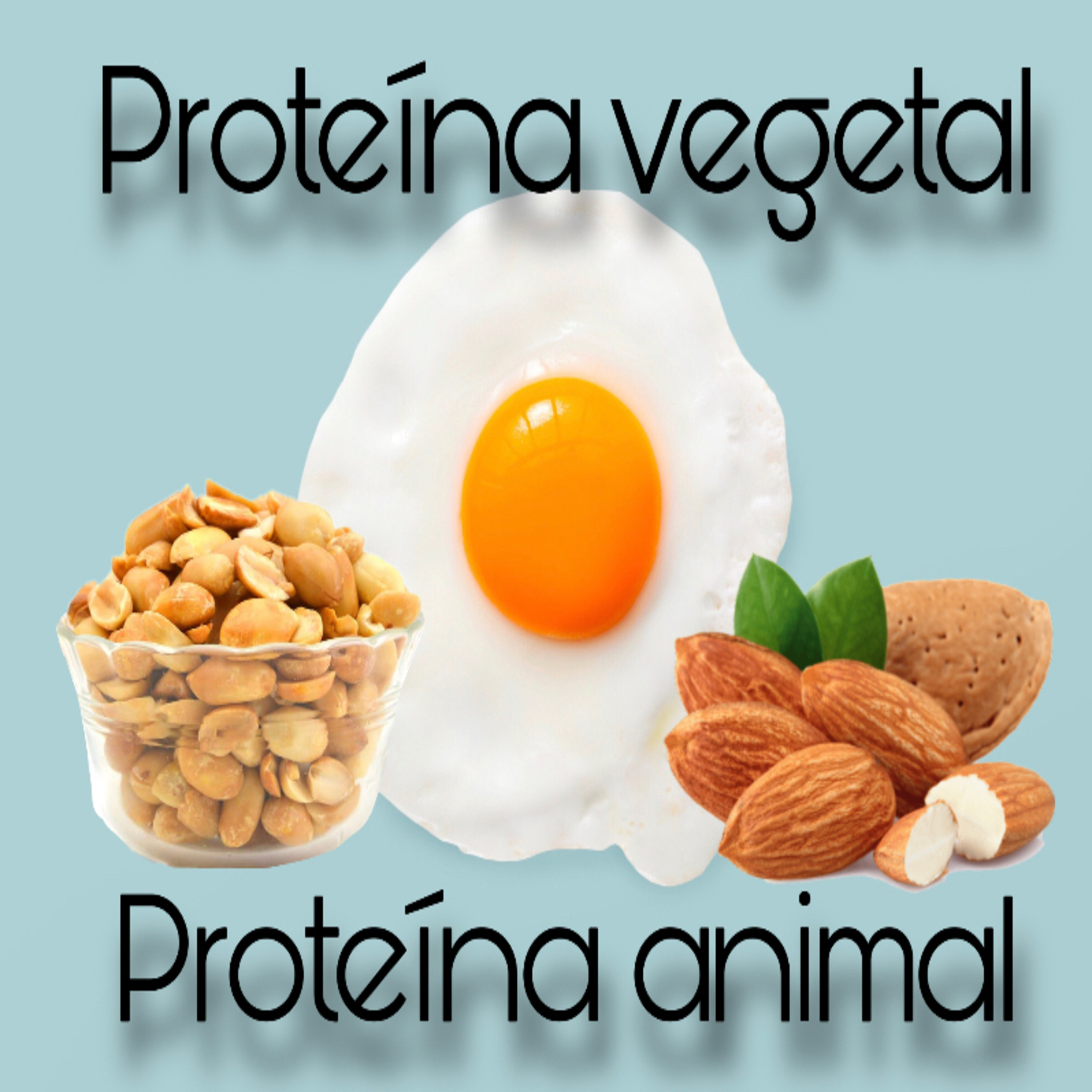 Nutrifacts by Magui Espinosa