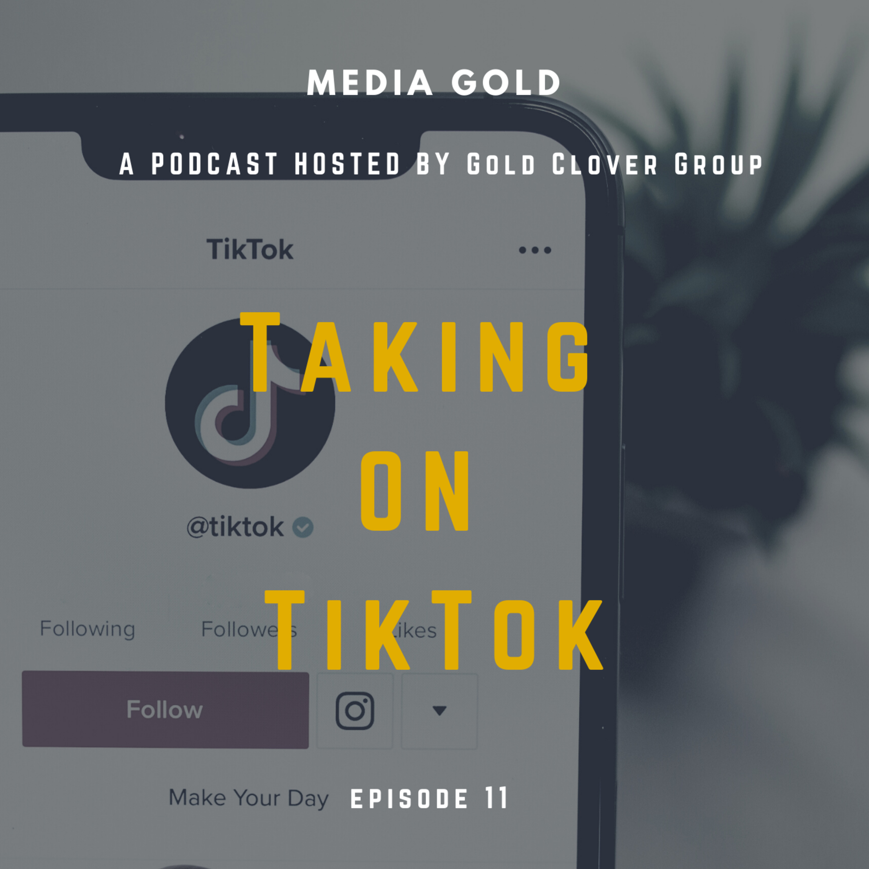 Taking On TikTok episode artwork