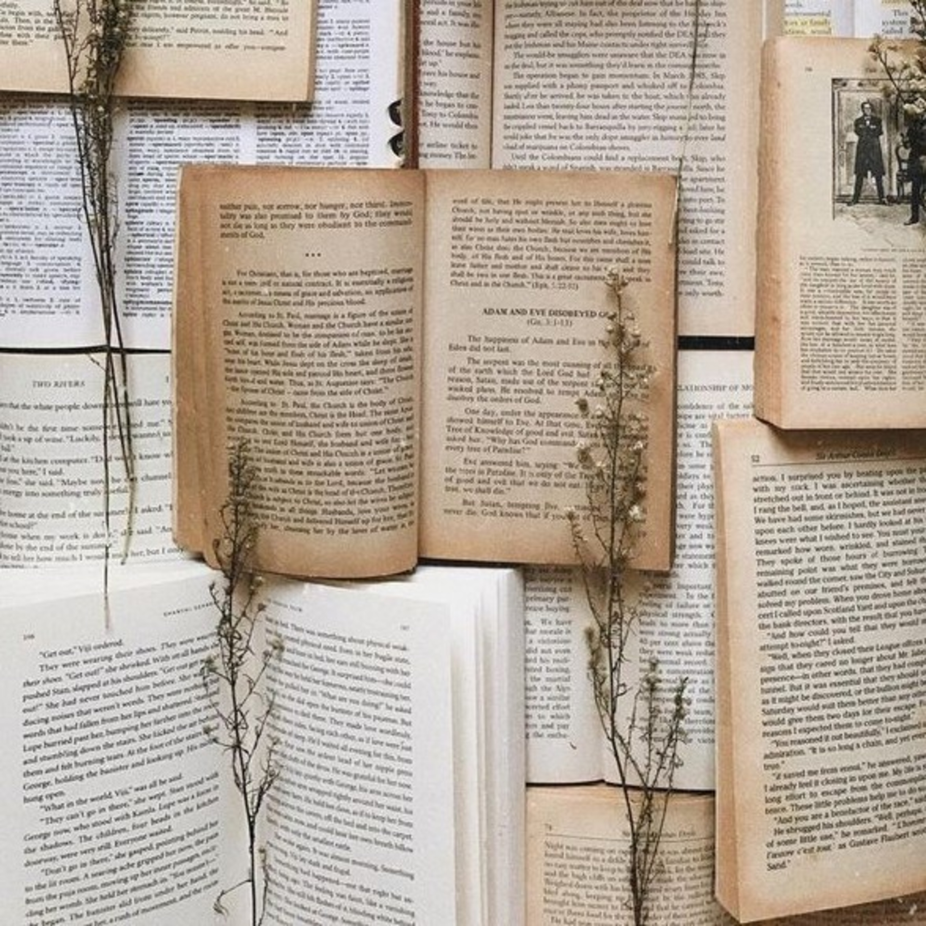 Lecturas clásicas y Variadas