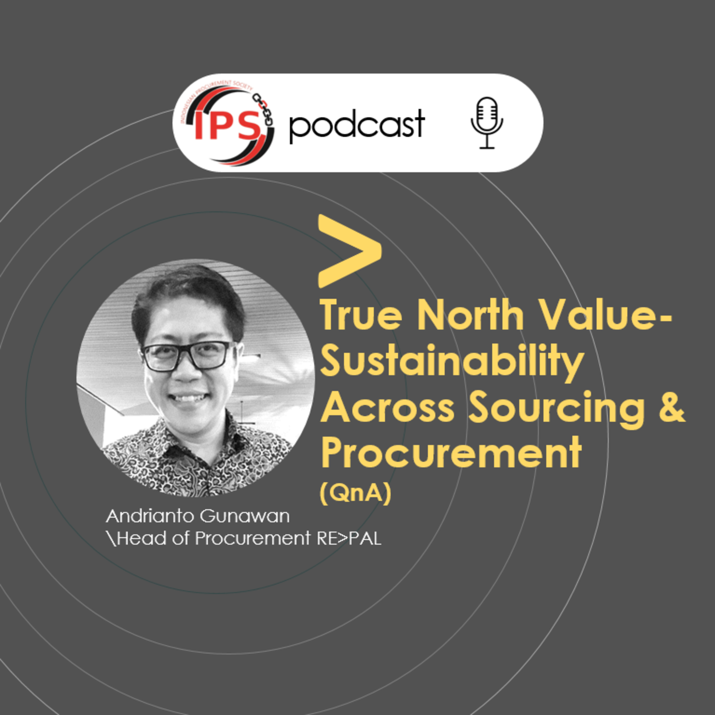 True North Values - Sustainability Across Sourcing And Procurement (QnA) episode artwork