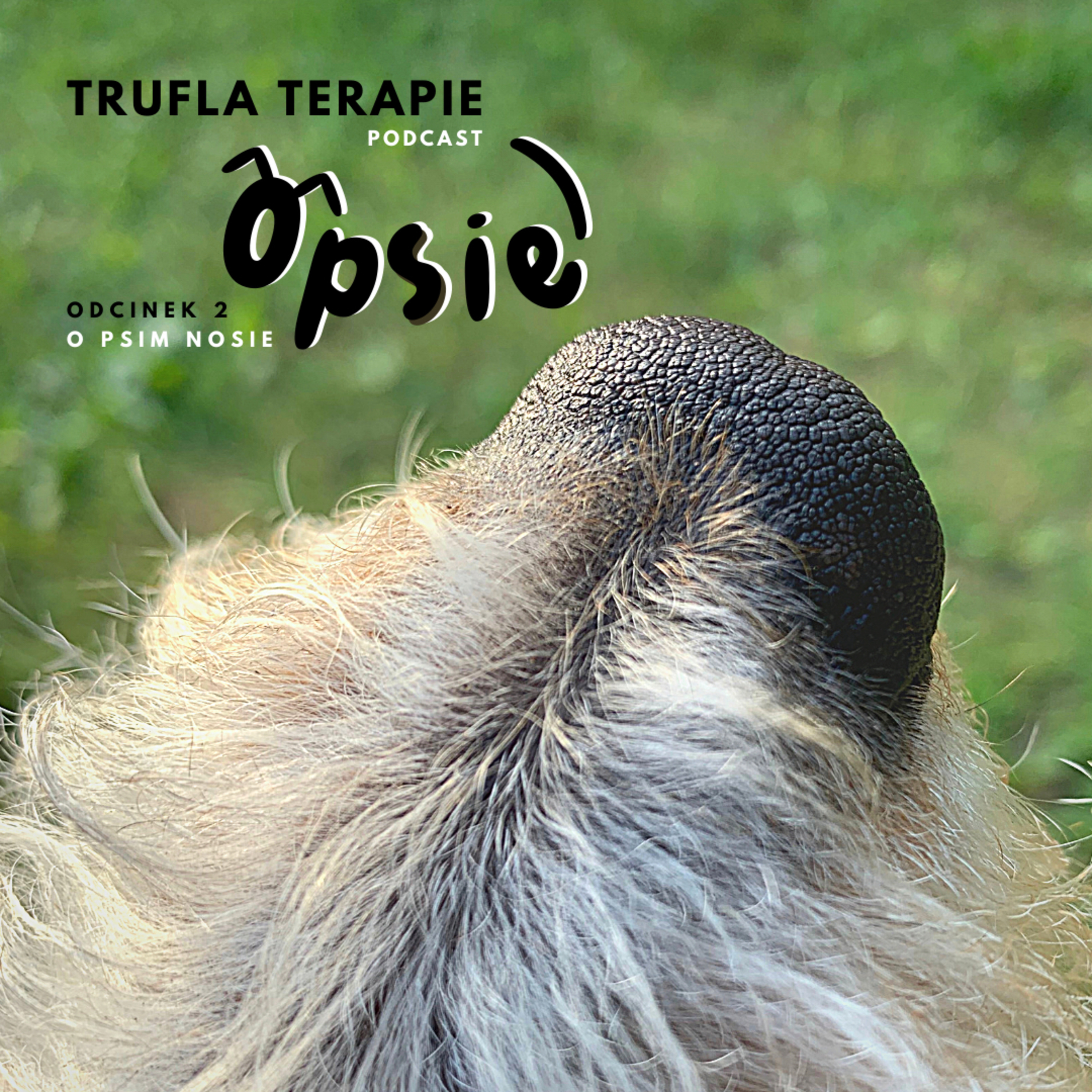 O psim nosie episode artwork
