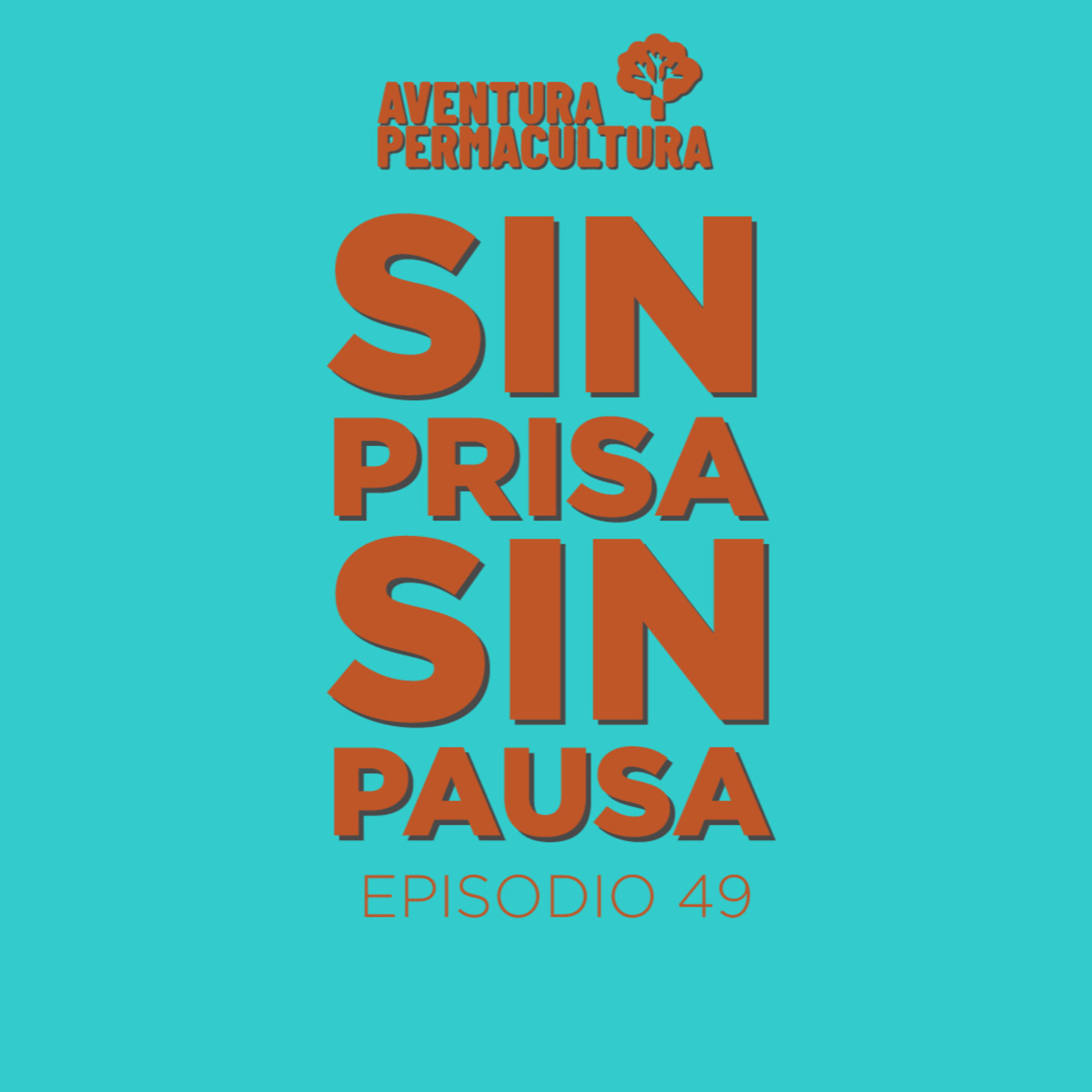 Episodio 49 - Sin prisa y sin pausa episode artwork