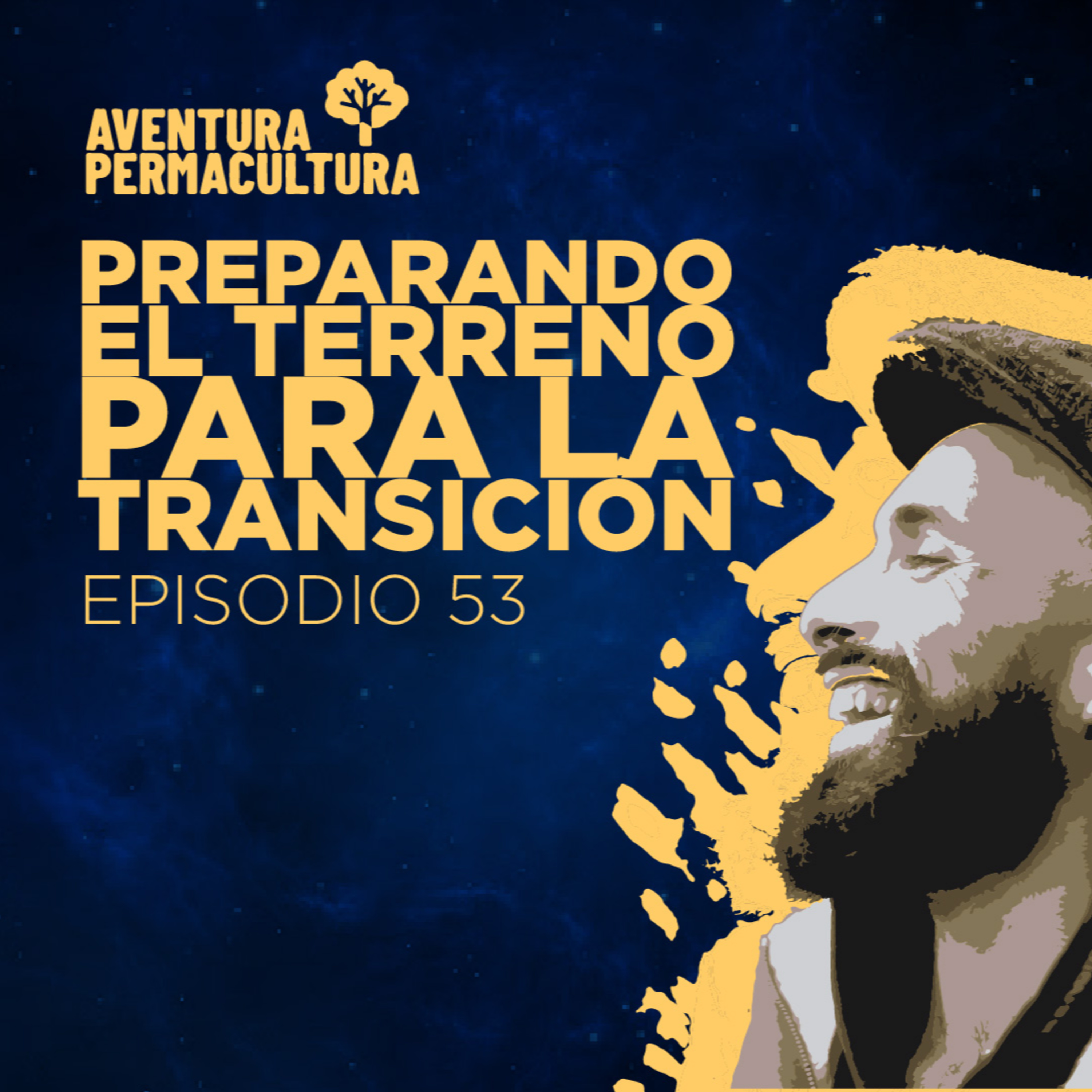 Episodio 53 - Preparando el terreno para la transición episode artwork