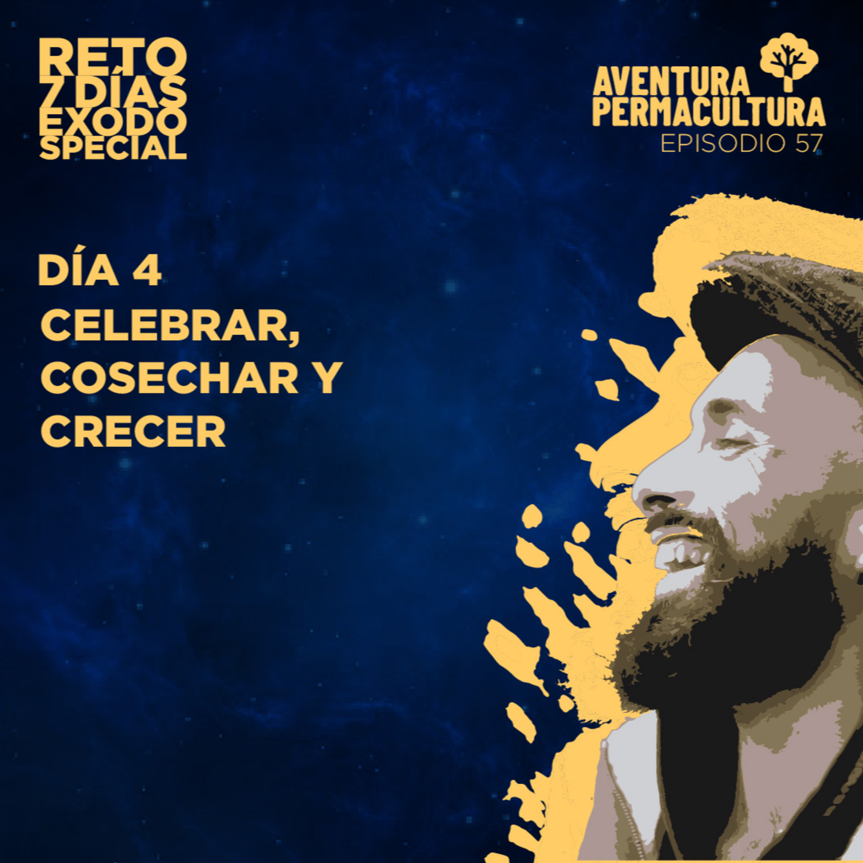 Episodio 57 - Celebrar, cosechar y crecer episode artwork