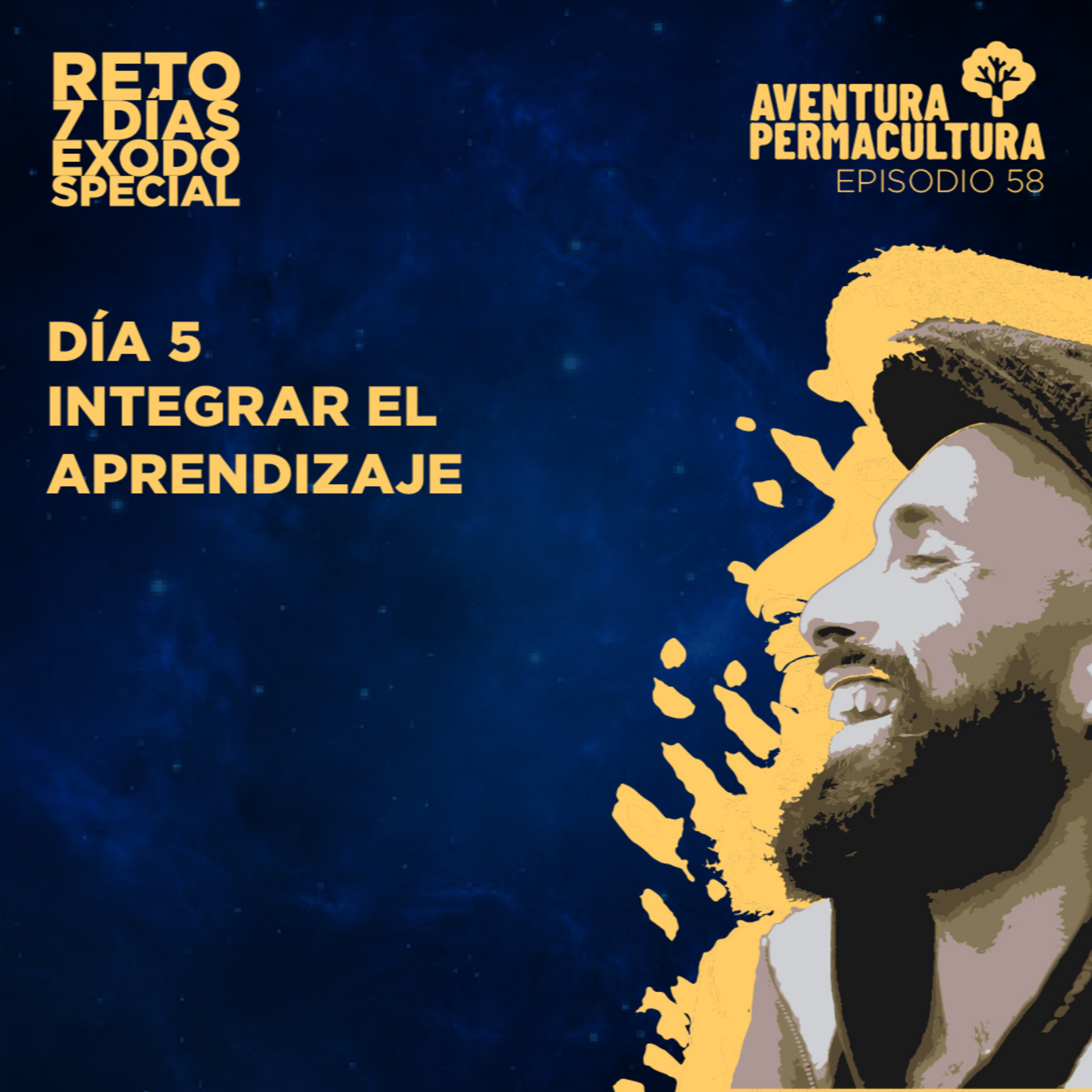 Episodio 58 - Integrar el aprendizaje episode artwork