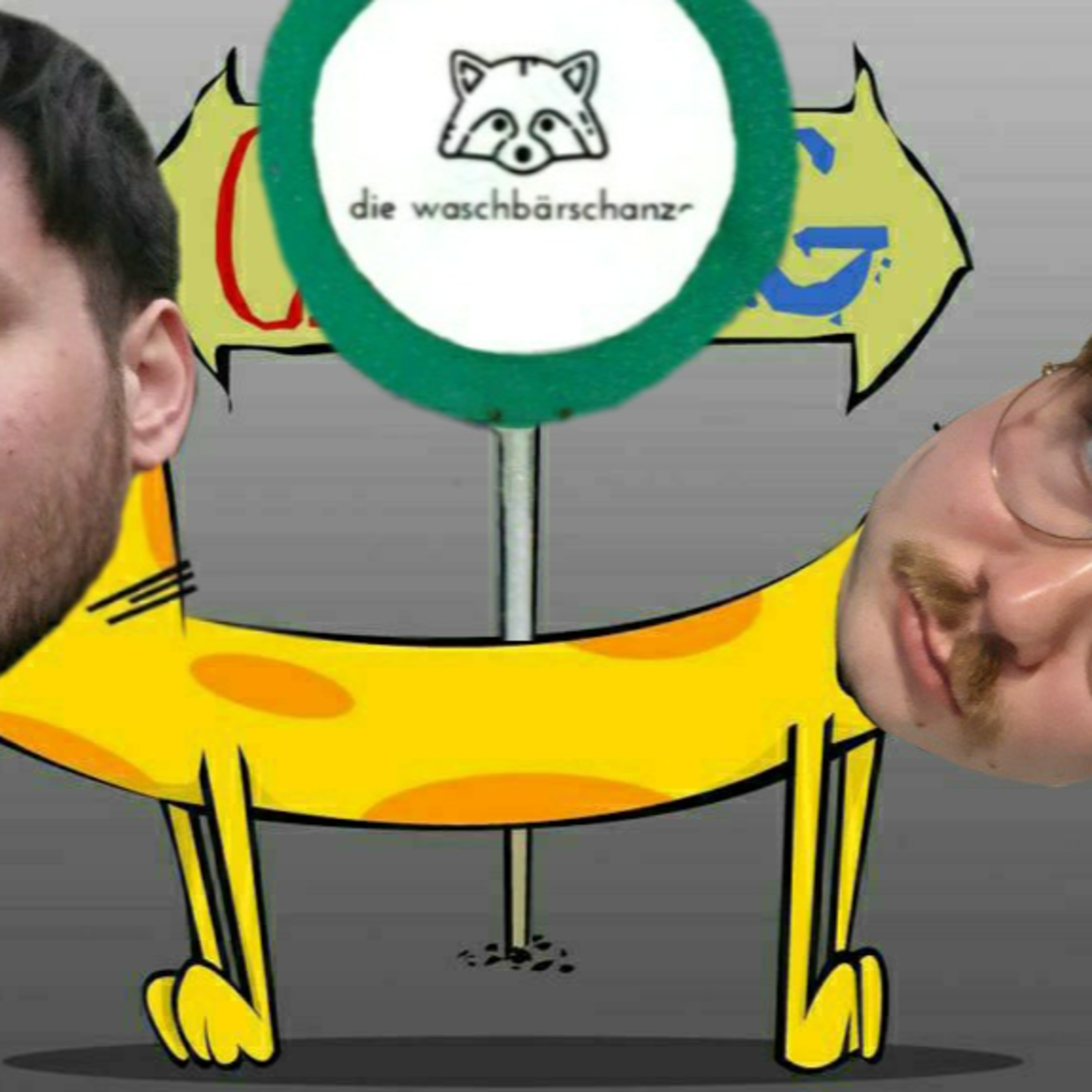 Waschbärschanze